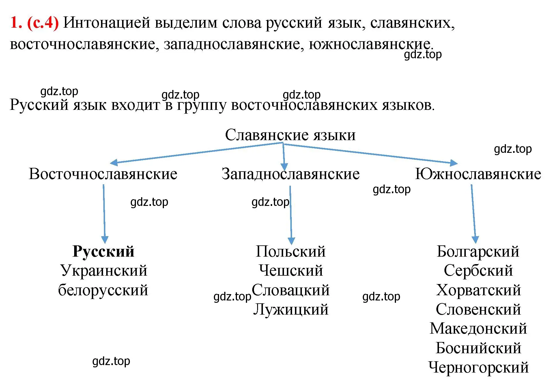 Решение 2. номер 1 (страница 4) гдз по русскому языку 7 класс Ладыженская, Баранов, учебник 1 часть