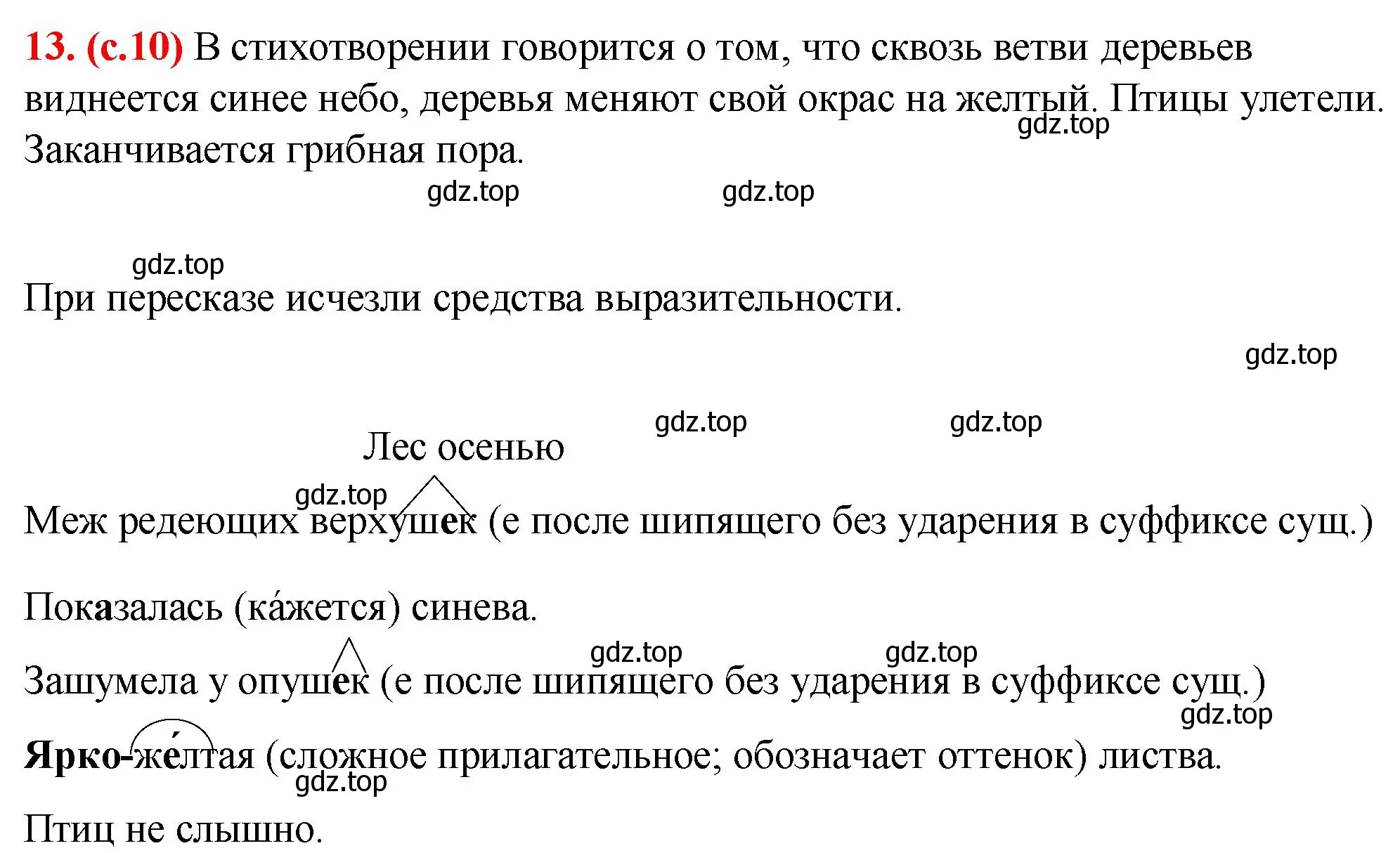 Решение 2. номер 13 (страница 10) гдз по русскому языку 7 класс Ладыженская, Баранов, учебник 1 часть