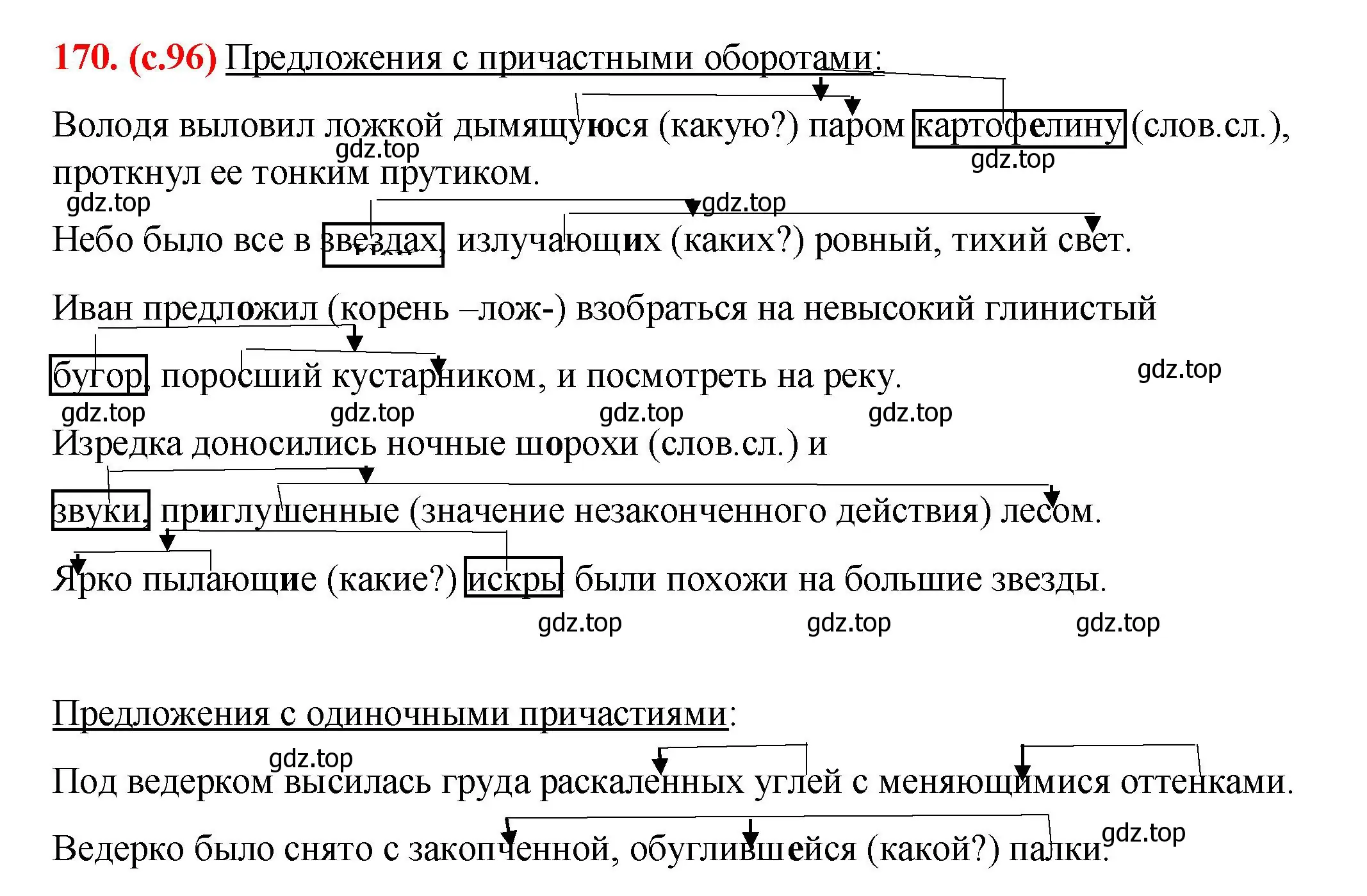 Решение 2. номер 170 (страница 96) гдз по русскому языку 7 класс Ладыженская, Баранов, учебник 1 часть