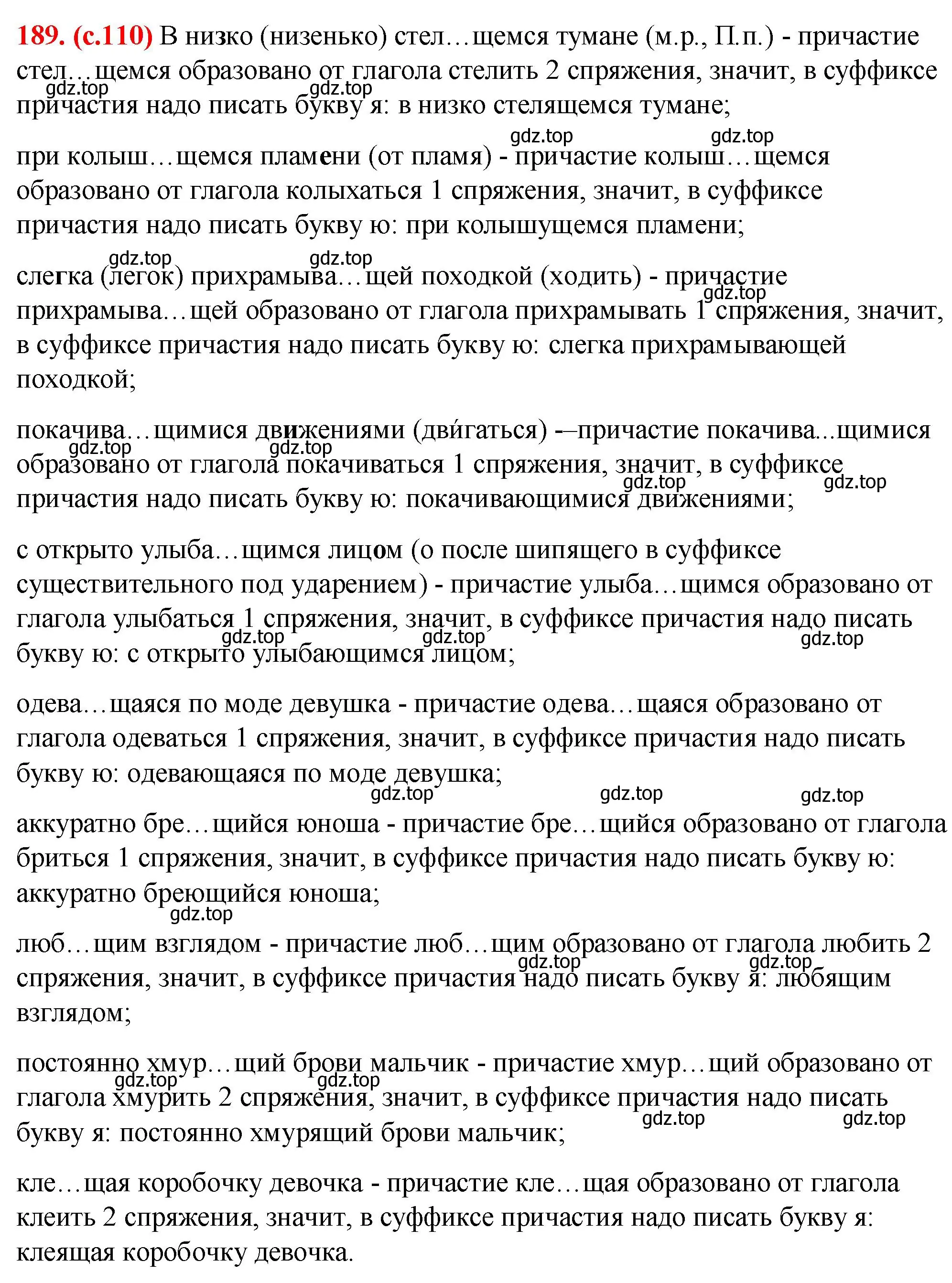 Решение 2. номер 189 (страница 110) гдз по русскому языку 7 класс Ладыженская, Баранов, учебник 1 часть