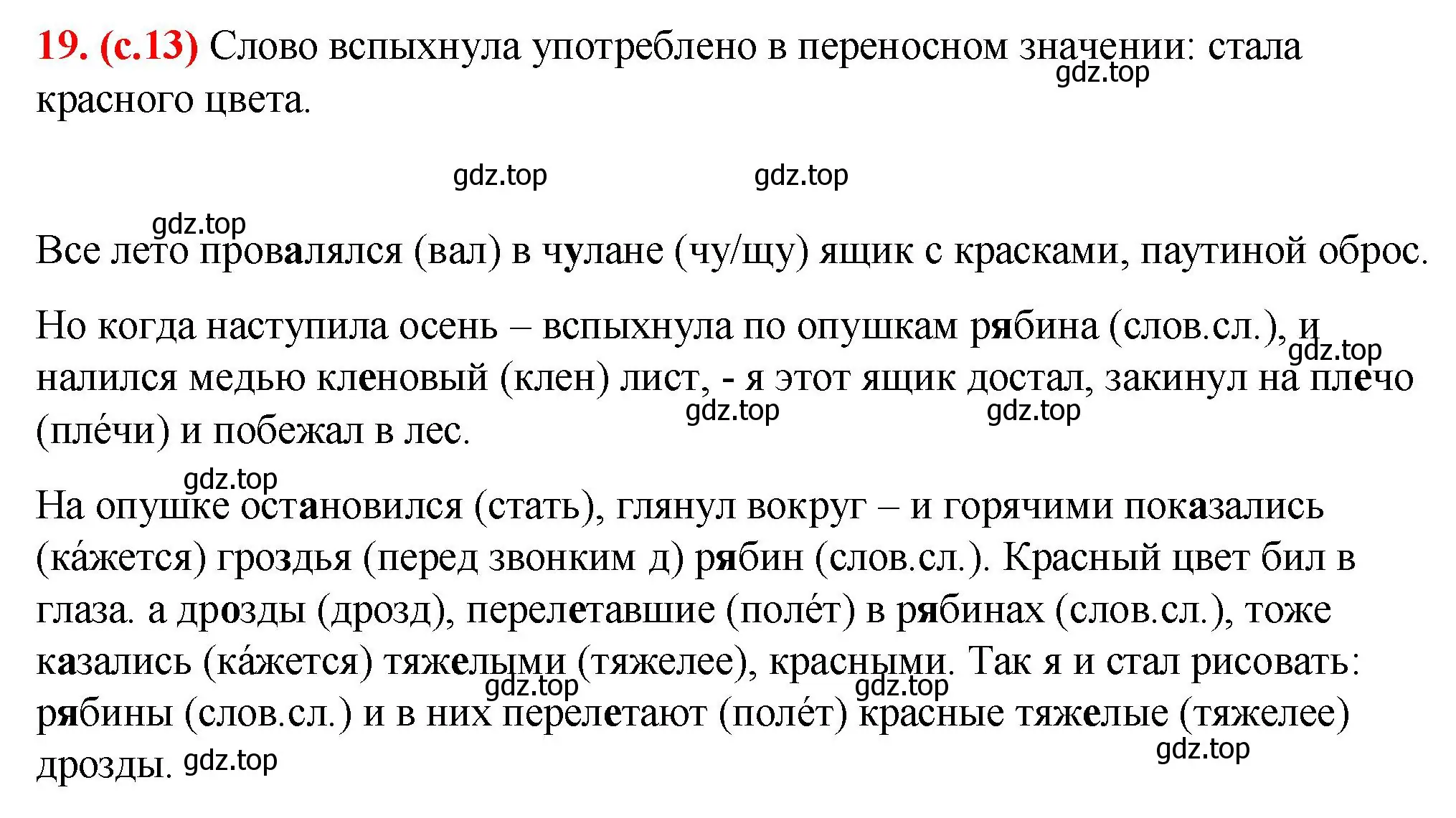 Решение 2. номер 19 (страница 13) гдз по русскому языку 7 класс Ладыженская, Баранов, учебник 1 часть