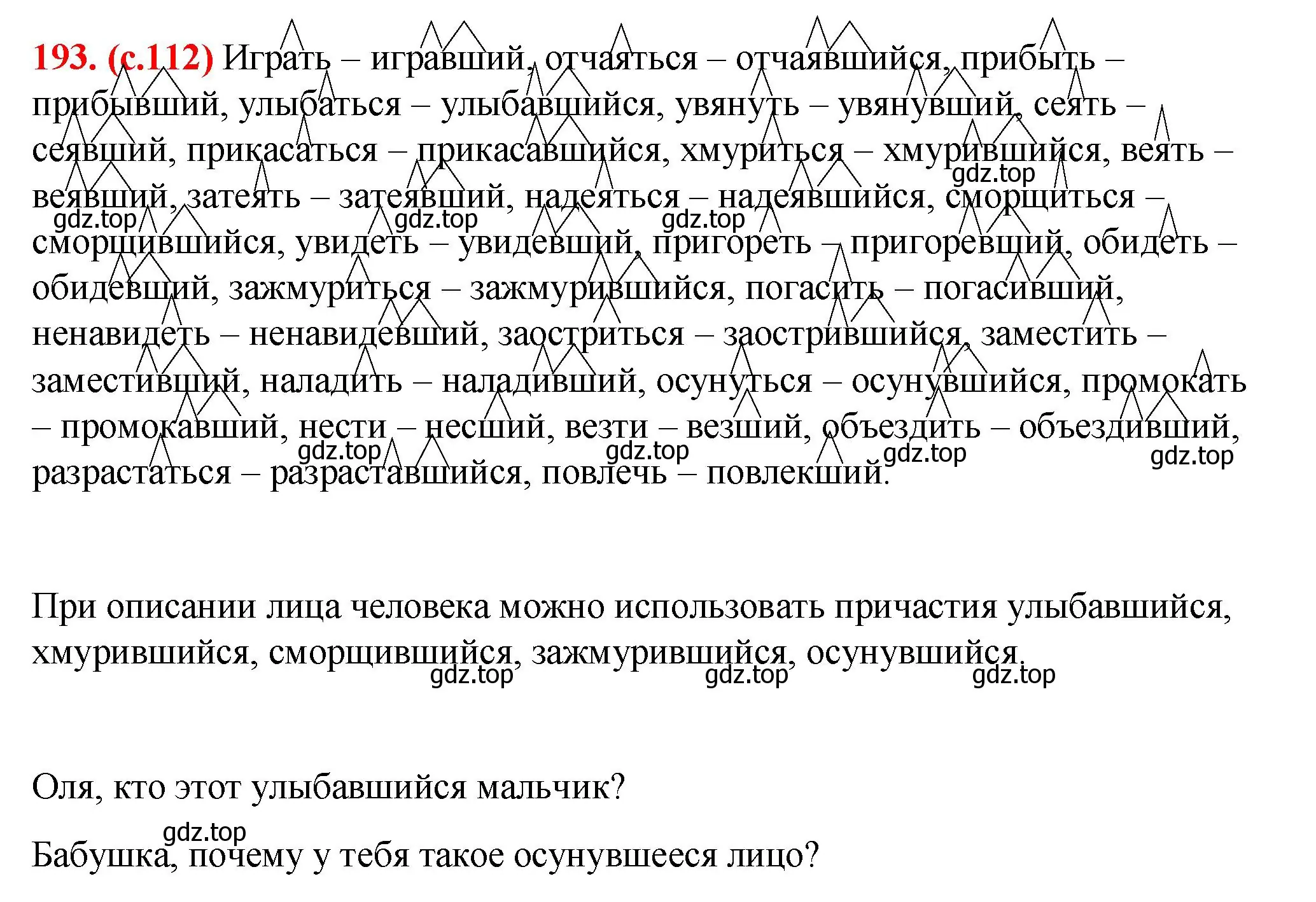 Решение 2. номер 193 (страница 112) гдз по русскому языку 7 класс Ладыженская, Баранов, учебник 1 часть