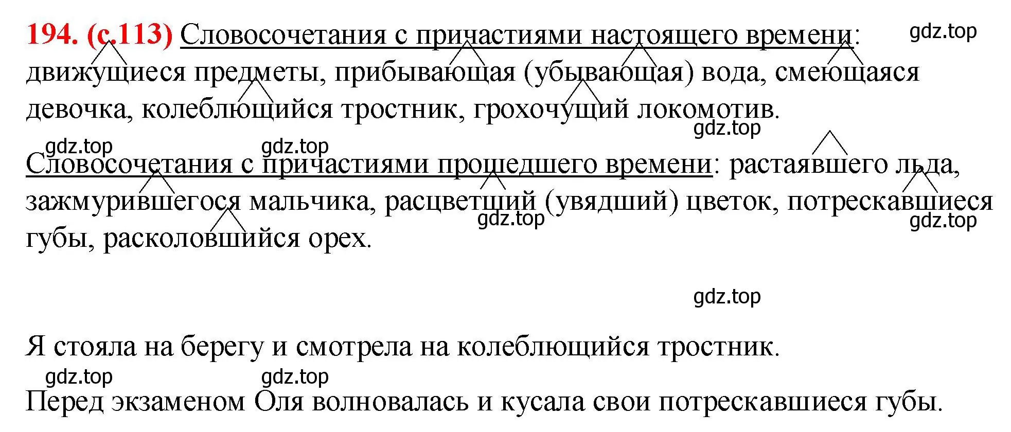 Решение 2. номер 194 (страница 113) гдз по русскому языку 7 класс Ладыженская, Баранов, учебник 1 часть