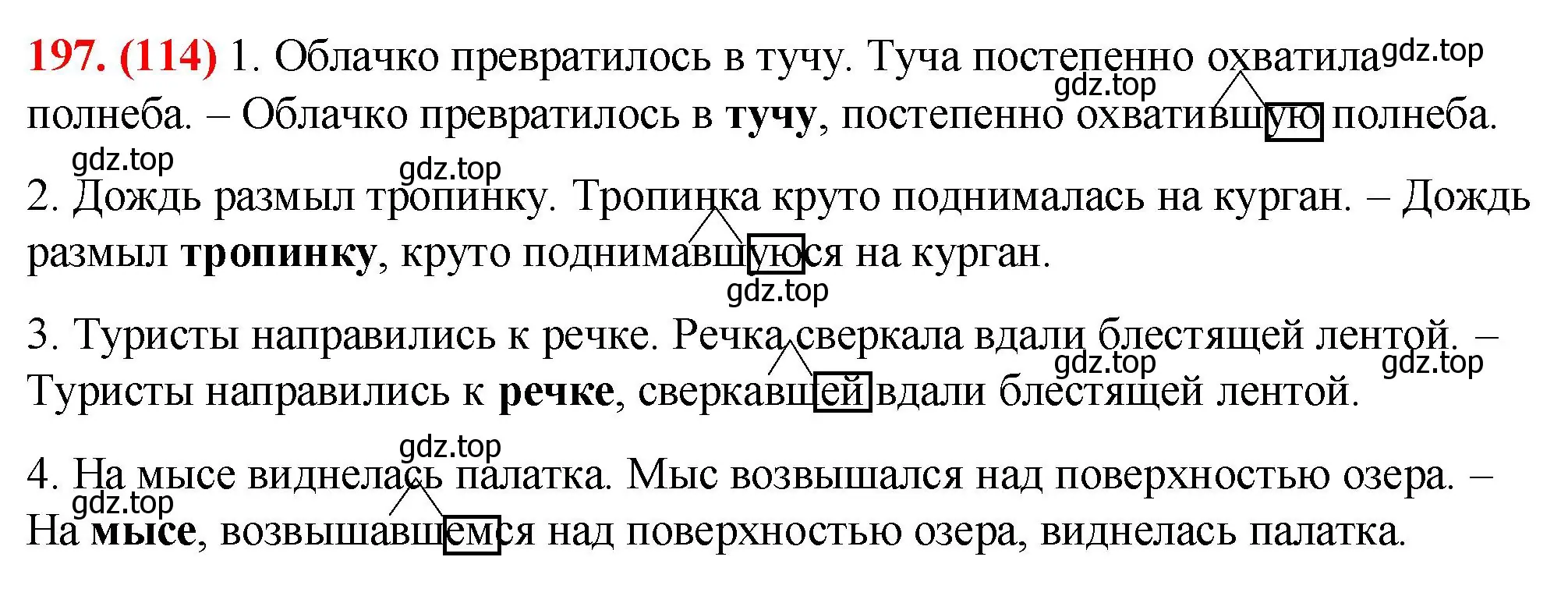 Решение 2. номер 197 (страница 114) гдз по русскому языку 7 класс Ладыженская, Баранов, учебник 1 часть