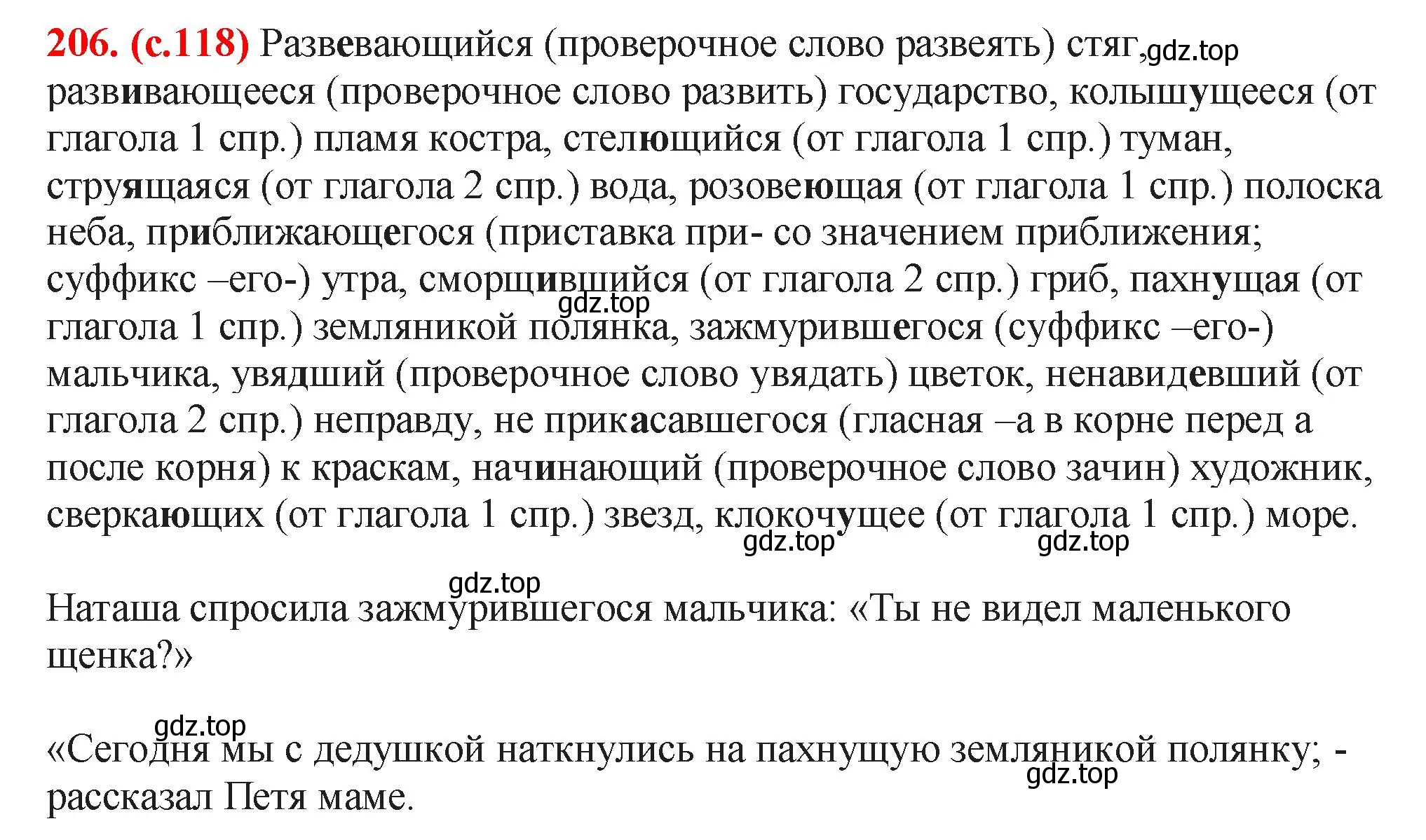 Решение 2. номер 206 (страница 118) гдз по русскому языку 7 класс Ладыженская, Баранов, учебник 1 часть