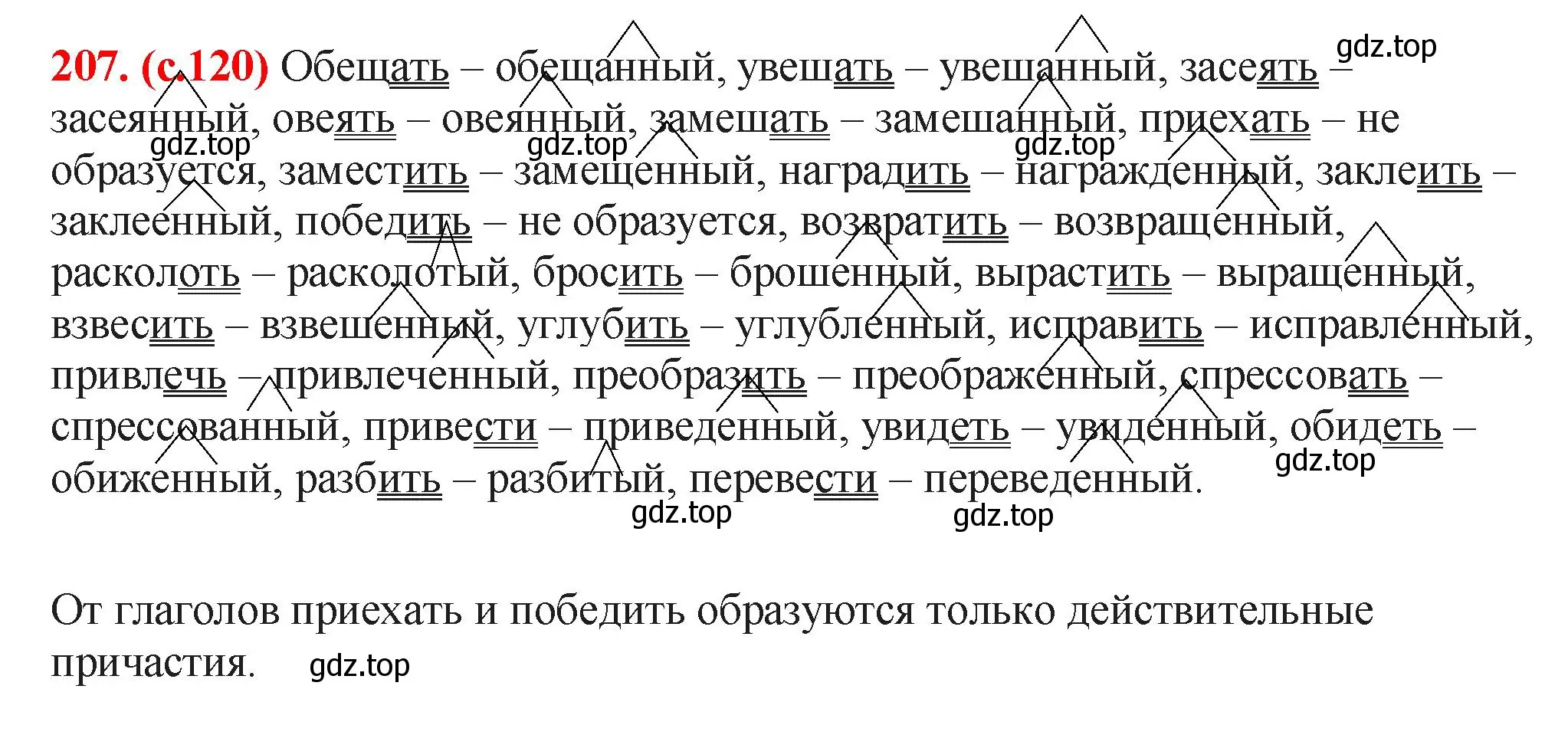 Решение 2. номер 207 (страница 120) гдз по русскому языку 7 класс Ладыженская, Баранов, учебник 1 часть