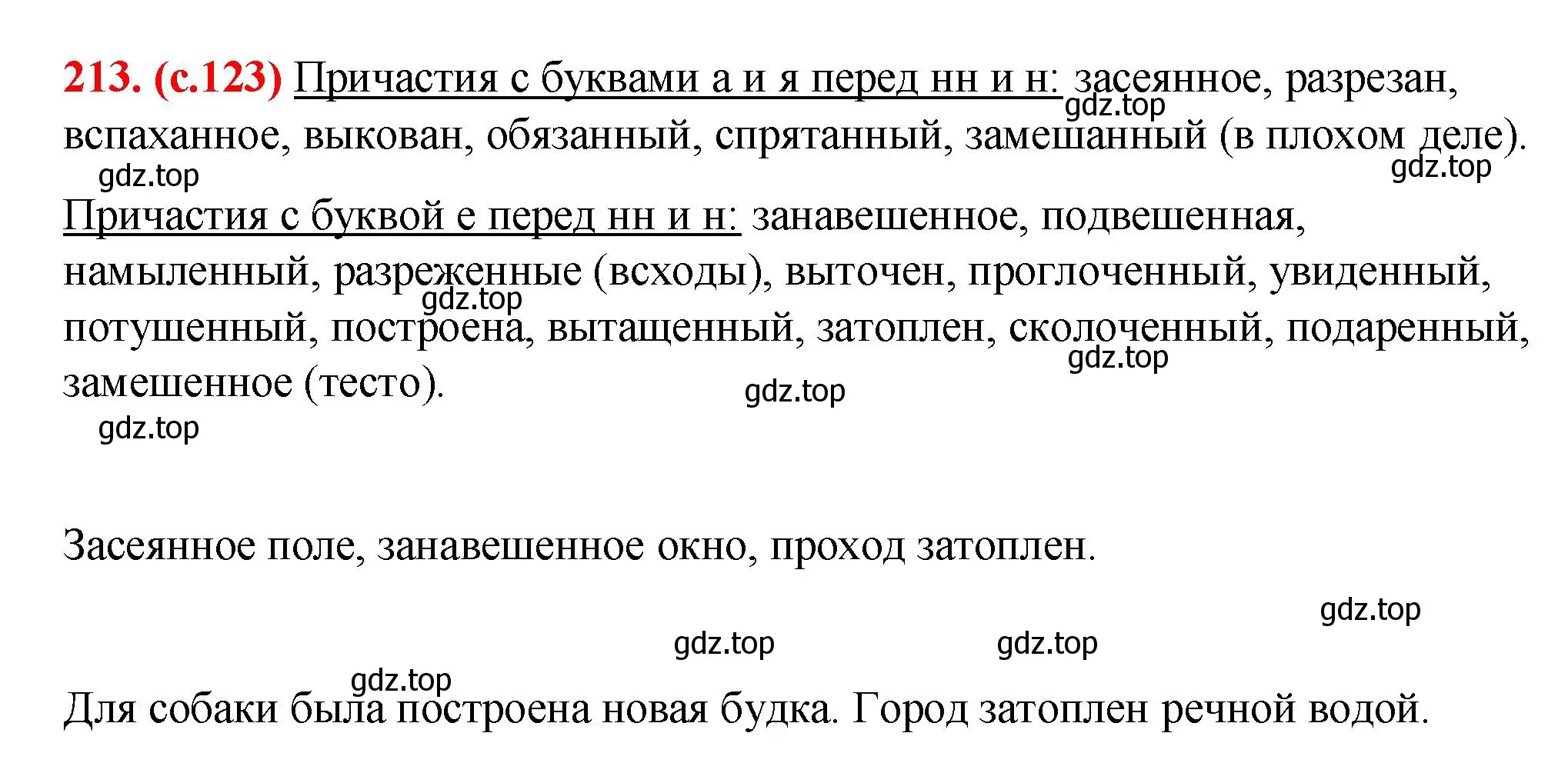 Решение 2. номер 213 (страница 123) гдз по русскому языку 7 класс Ладыженская, Баранов, учебник 1 часть