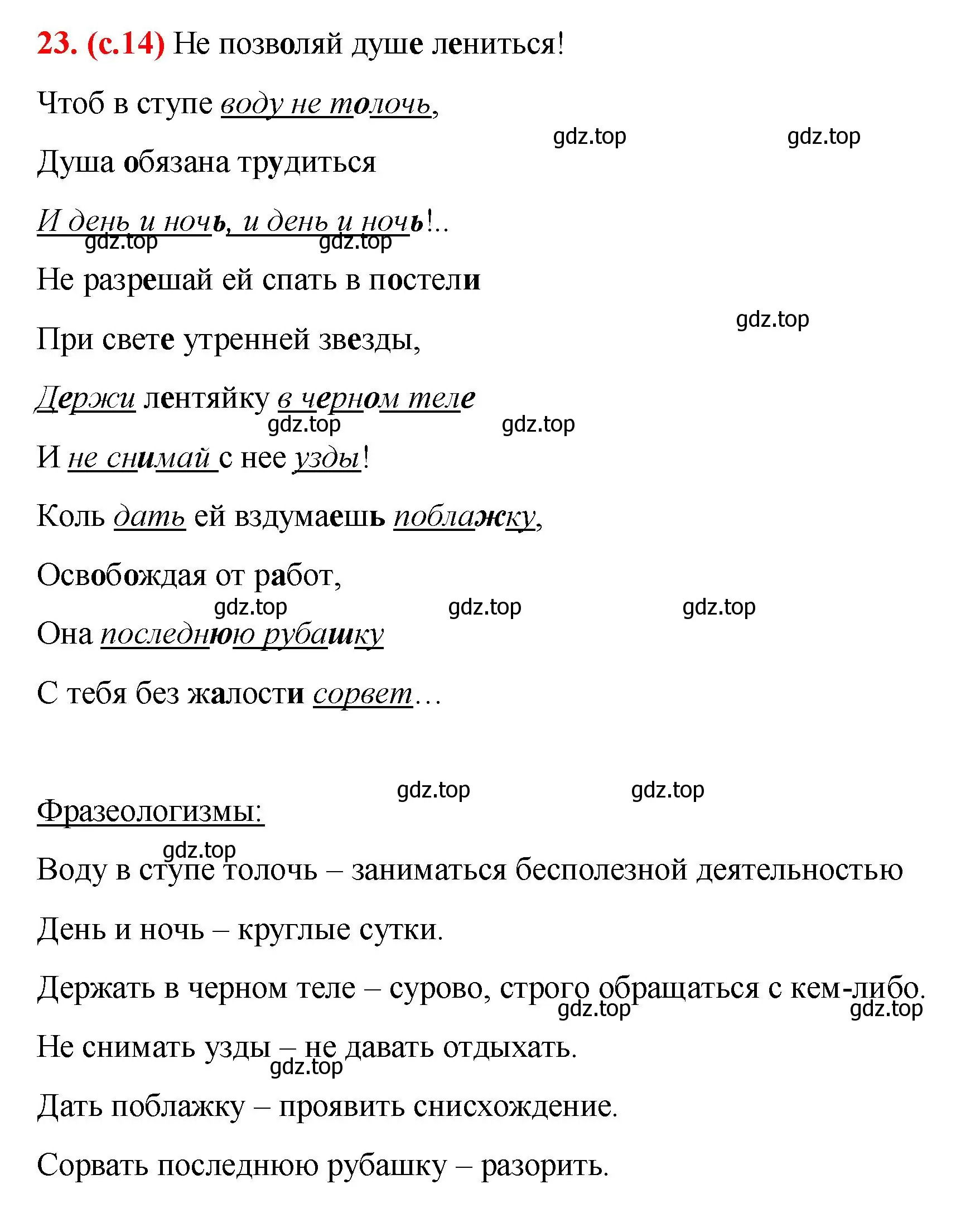 Решение 2. номер 23 (страница 14) гдз по русскому языку 7 класс Ладыженская, Баранов, учебник 1 часть