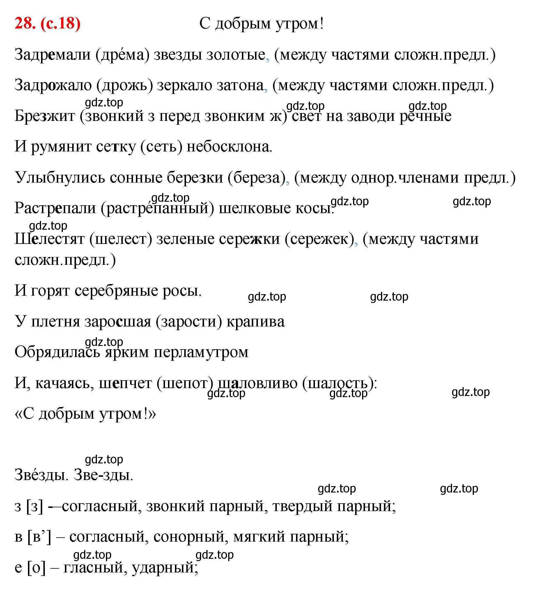 Решение 2. номер 28 (страница 18) гдз по русскому языку 7 класс Ладыженская, Баранов, учебник 1 часть