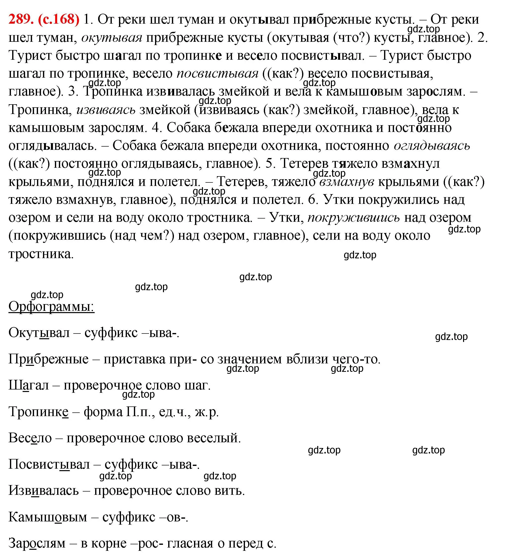 Решение 2. номер 289 (страница 168) гдз по русскому языку 7 класс Ладыженская, Баранов, учебник 1 часть