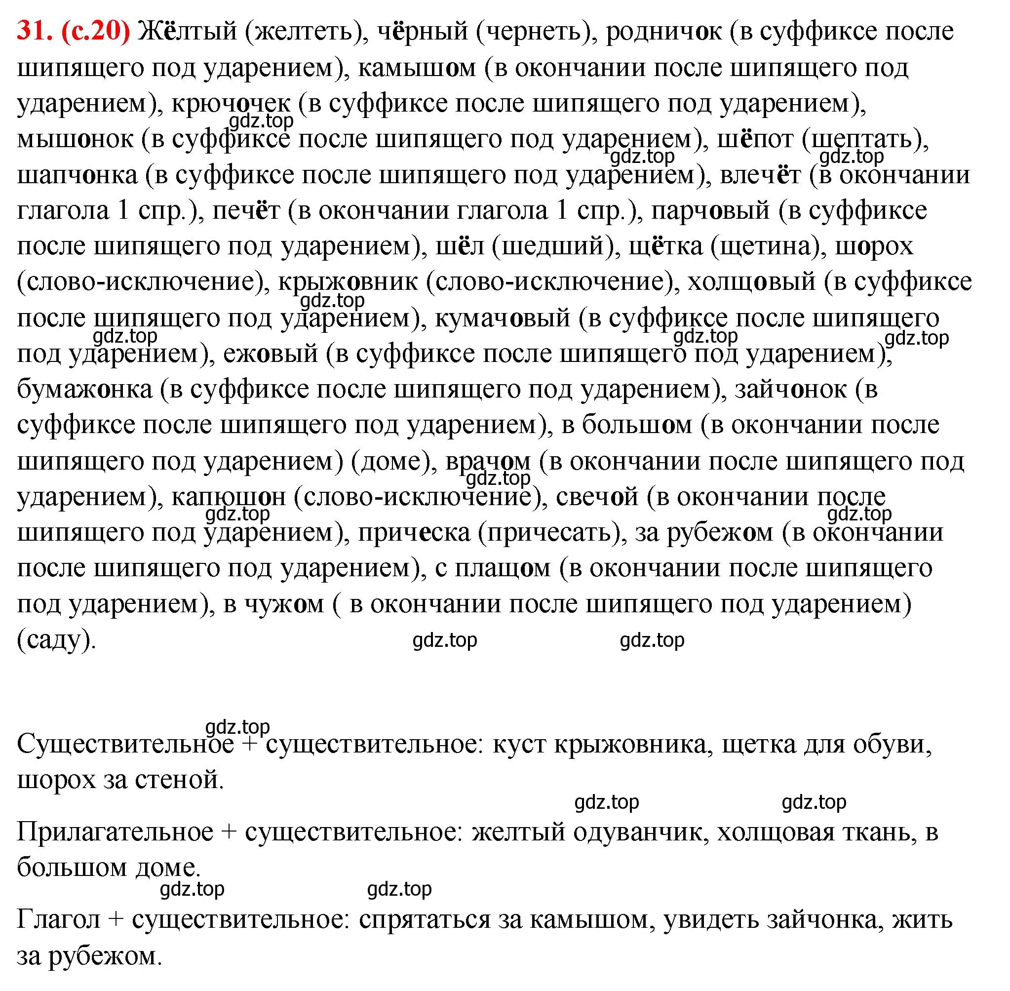 Решение 2. номер 31 (страница 20) гдз по русскому языку 7 класс Ладыженская, Баранов, учебник 1 часть