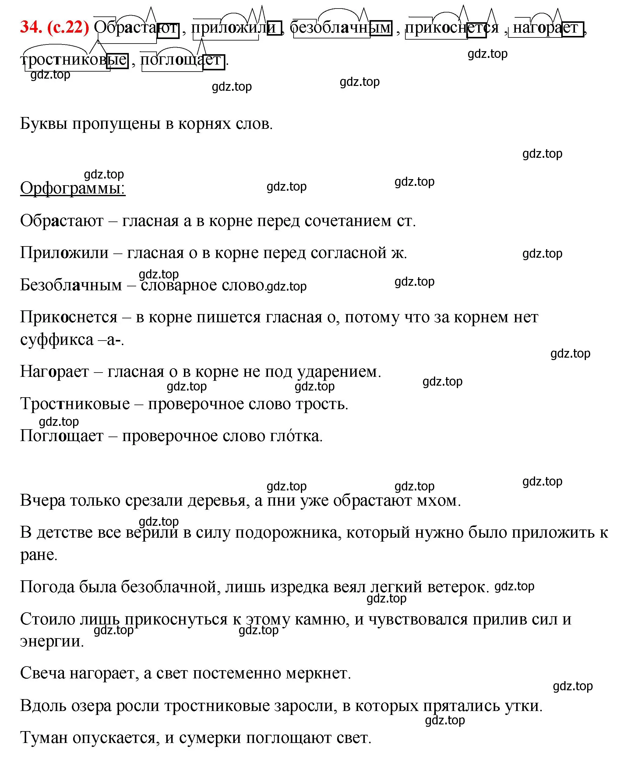 Решение 2. номер 34 (страница 22) гдз по русскому языку 7 класс Ладыженская, Баранов, учебник 1 часть