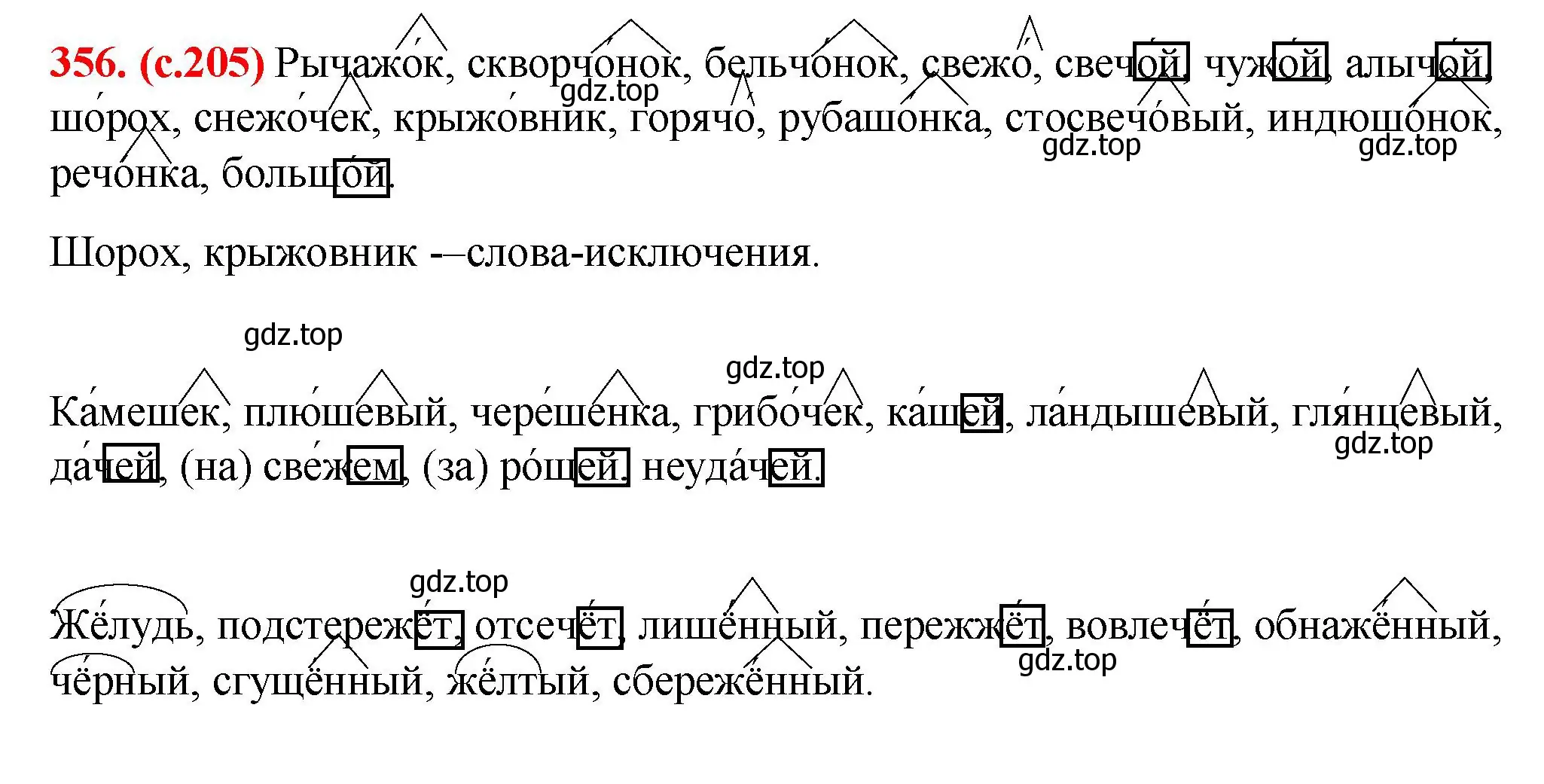 Решение 2. номер 356 (страница 205) гдз по русскому языку 7 класс Ладыженская, Баранов, учебник 1 часть