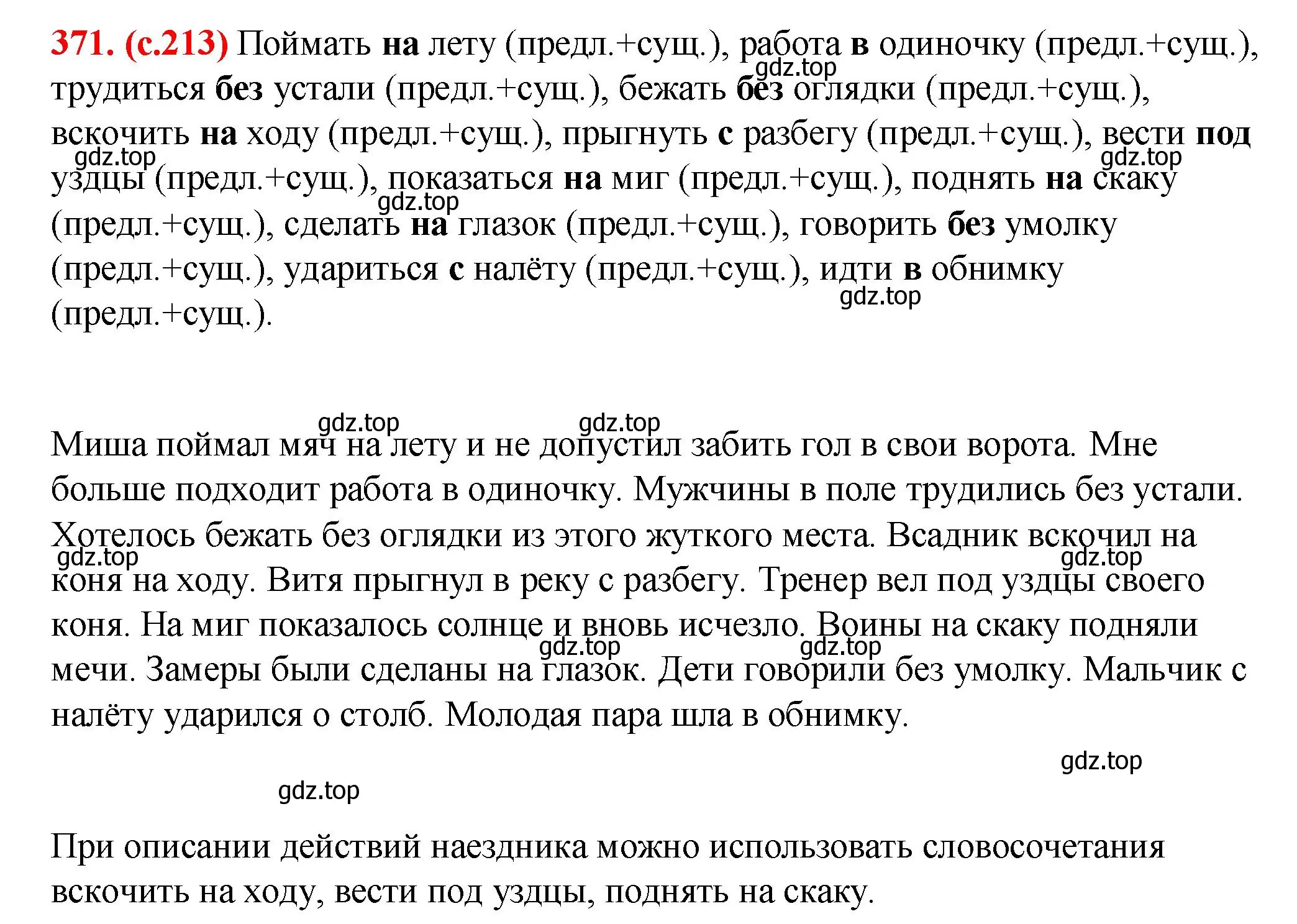 Решение 2. номер 371 (страница 213) гдз по русскому языку 7 класс Ладыженская, Баранов, учебник 1 часть