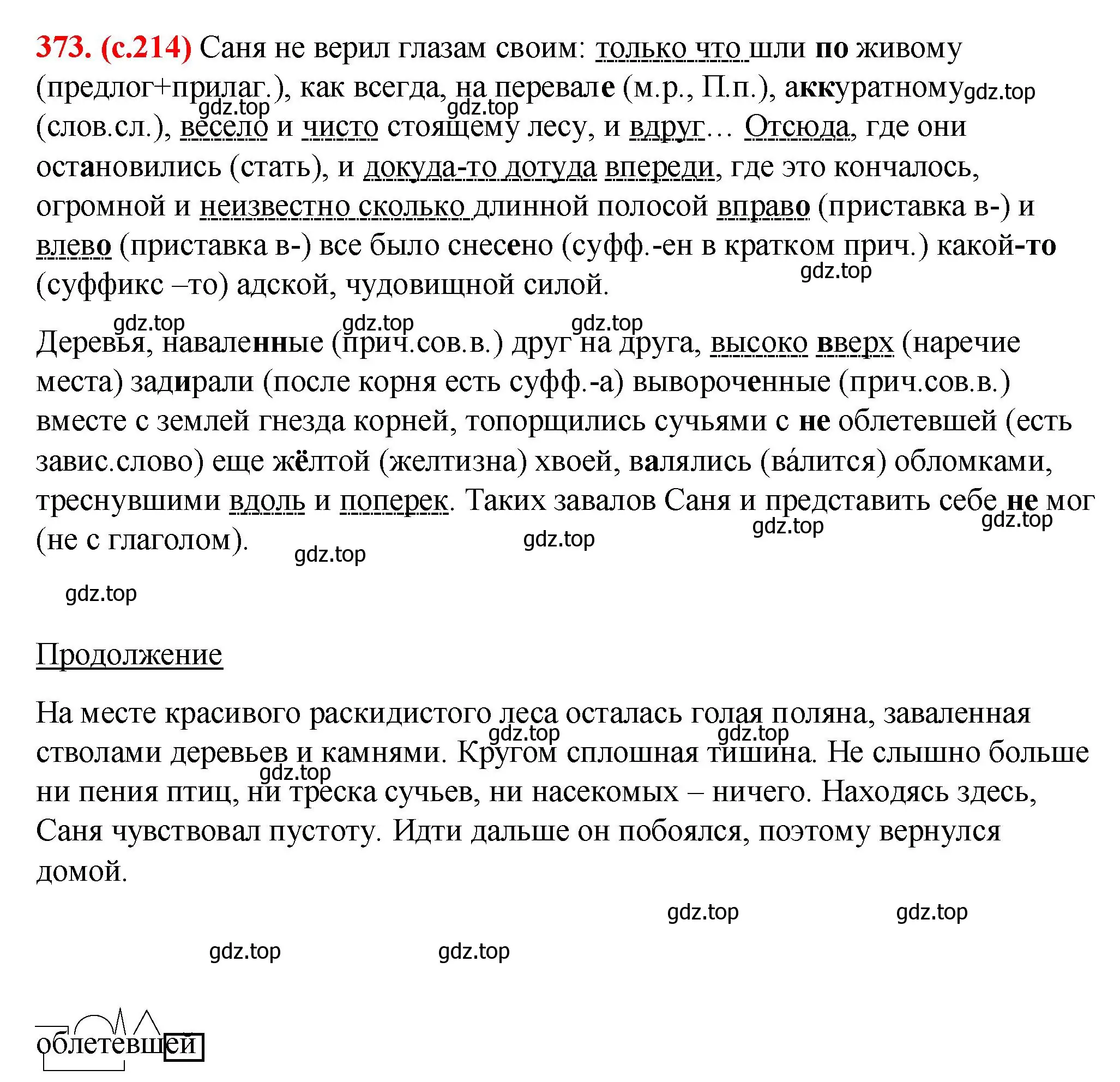 Решение 2. номер 373 (страница 214) гдз по русскому языку 7 класс Ладыженская, Баранов, учебник 1 часть