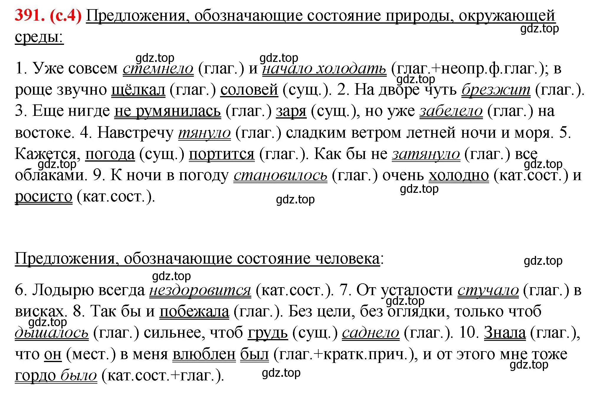 Решение 2. номер 391 (страница 4) гдз по русскому языку 7 класс Ладыженская, Баранов, учебник 2 часть