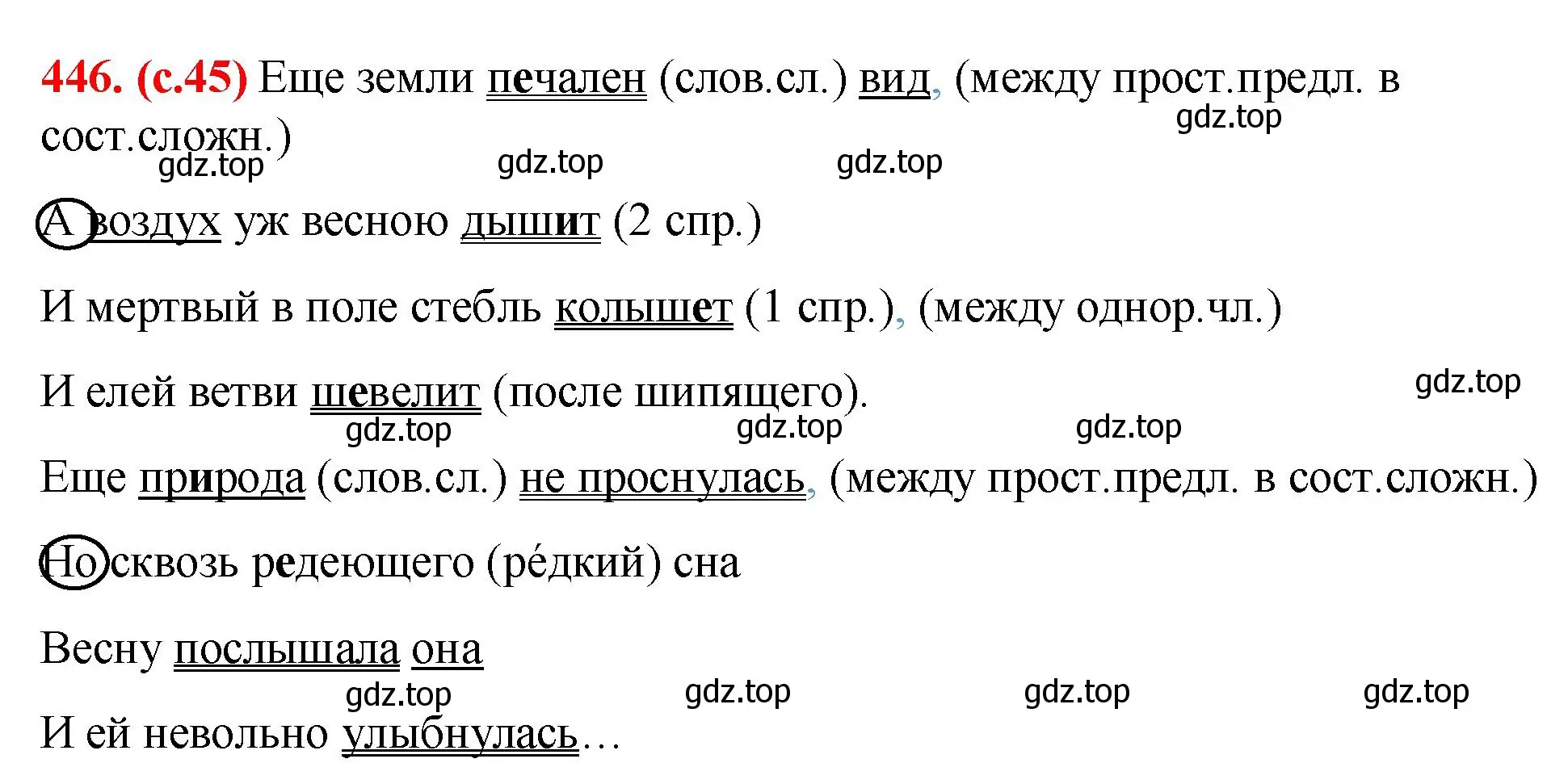 Решение 2. номер 446 (страница 45) гдз по русскому языку 7 класс Ладыженская, Баранов, учебник 2 часть