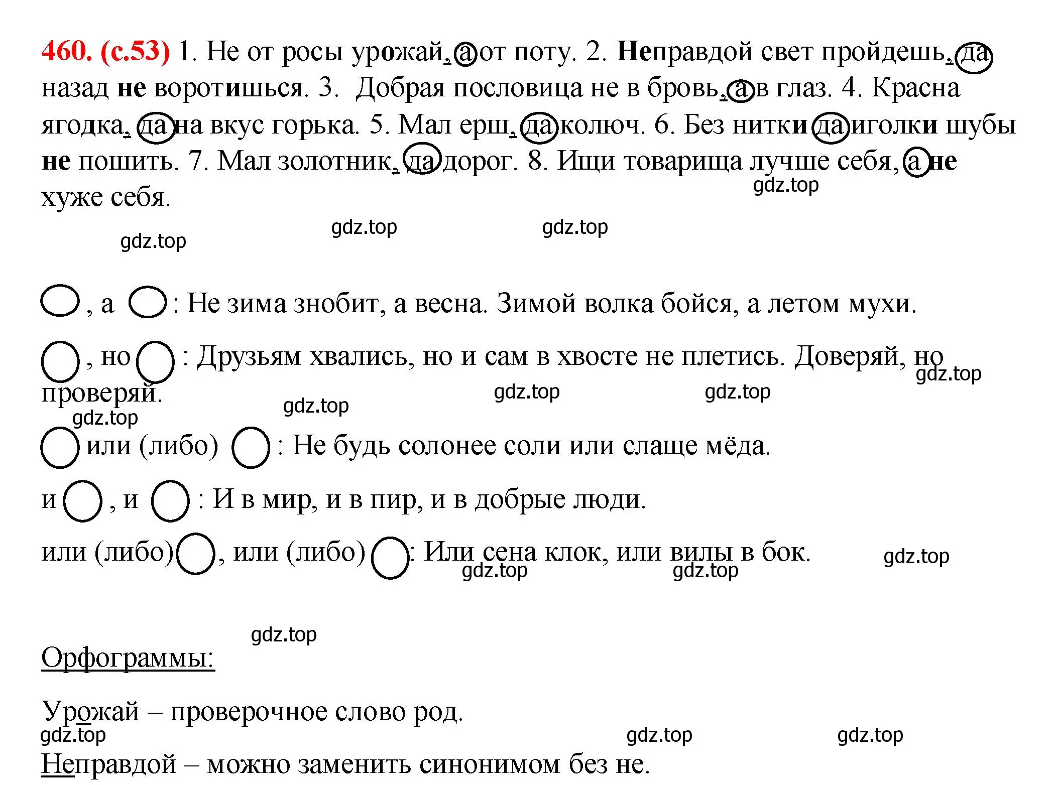 Решение 2. номер 460 (страница 53) гдз по русскому языку 7 класс Ладыженская, Баранов, учебник 2 часть