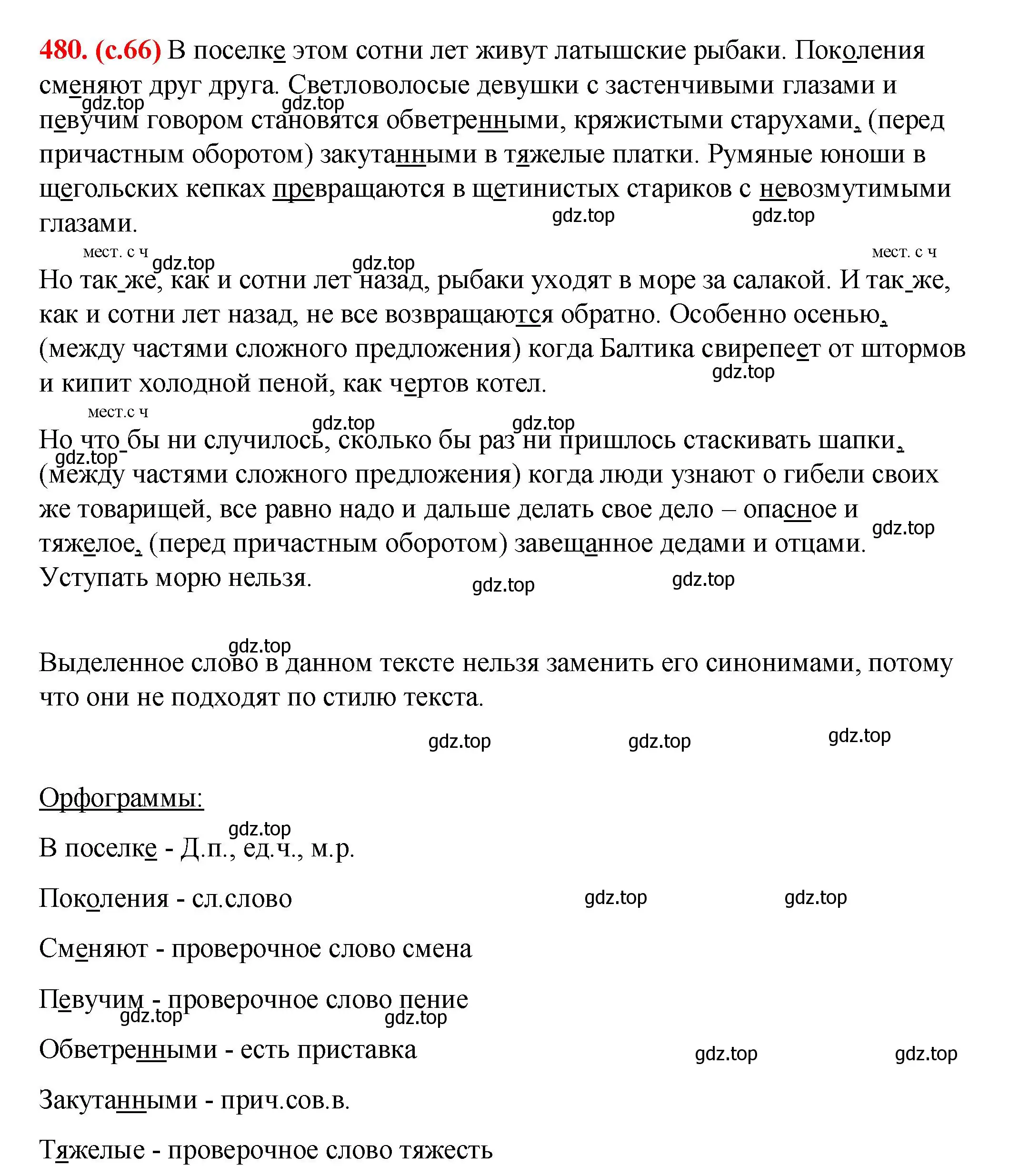 Решение 2. номер 480 (страница 66) гдз по русскому языку 7 класс Ладыженская, Баранов, учебник 2 часть