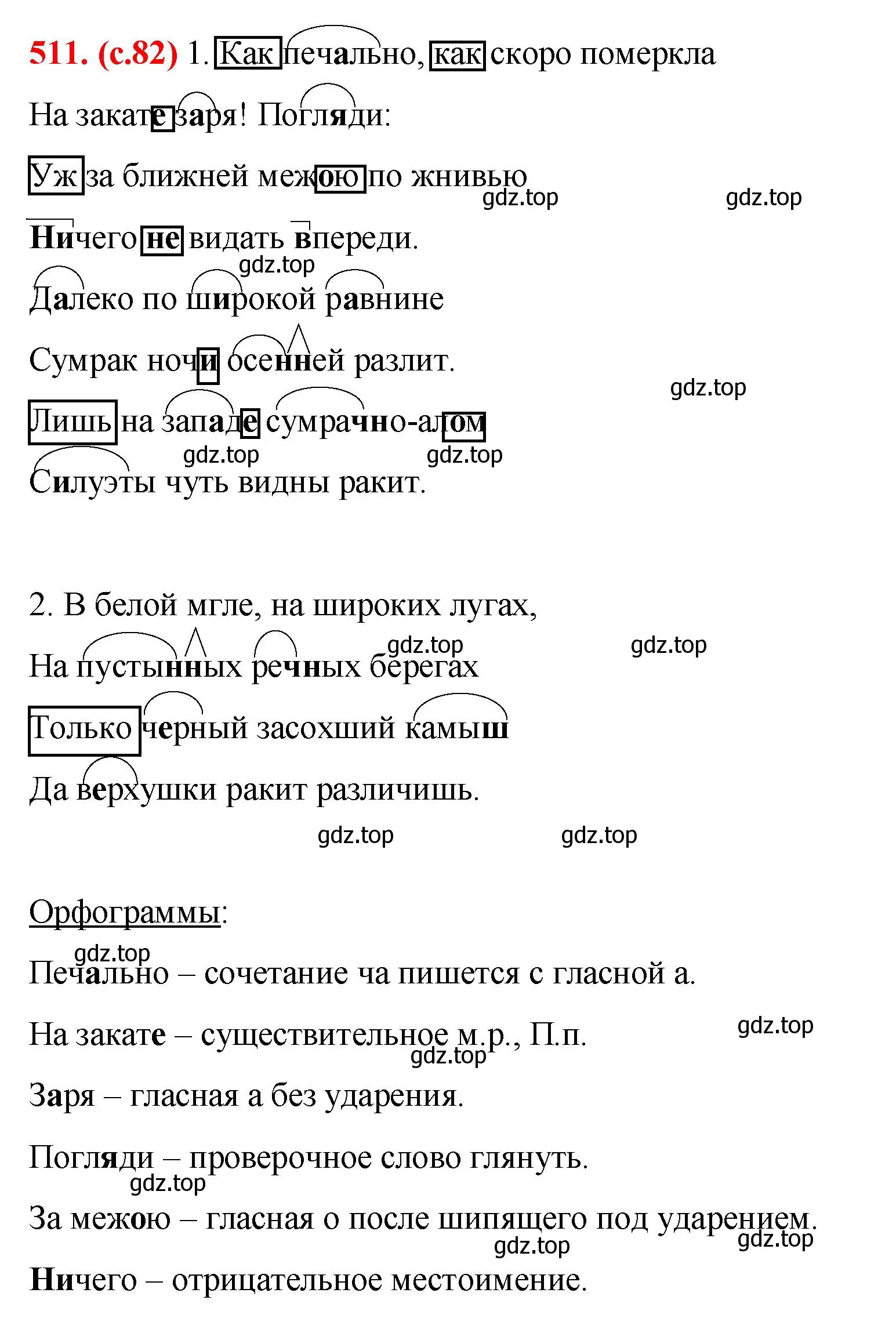 Решение 2. номер 511 (страница 82) гдз по русскому языку 7 класс Ладыженская, Баранов, учебник 2 часть