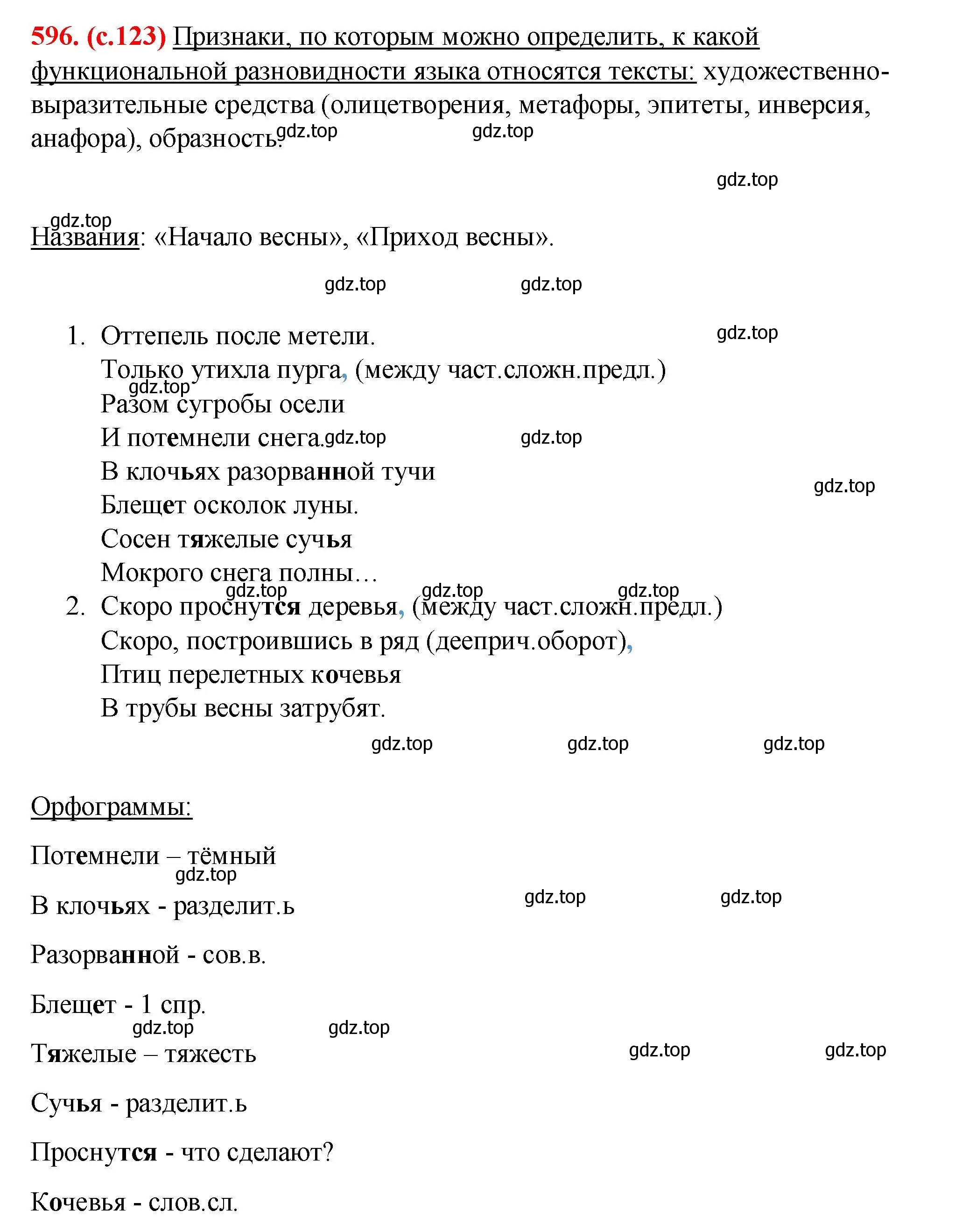 Решение 2. номер 596 (страница 123) гдз по русскому языку 7 класс Ладыженская, Баранов, учебник 2 часть