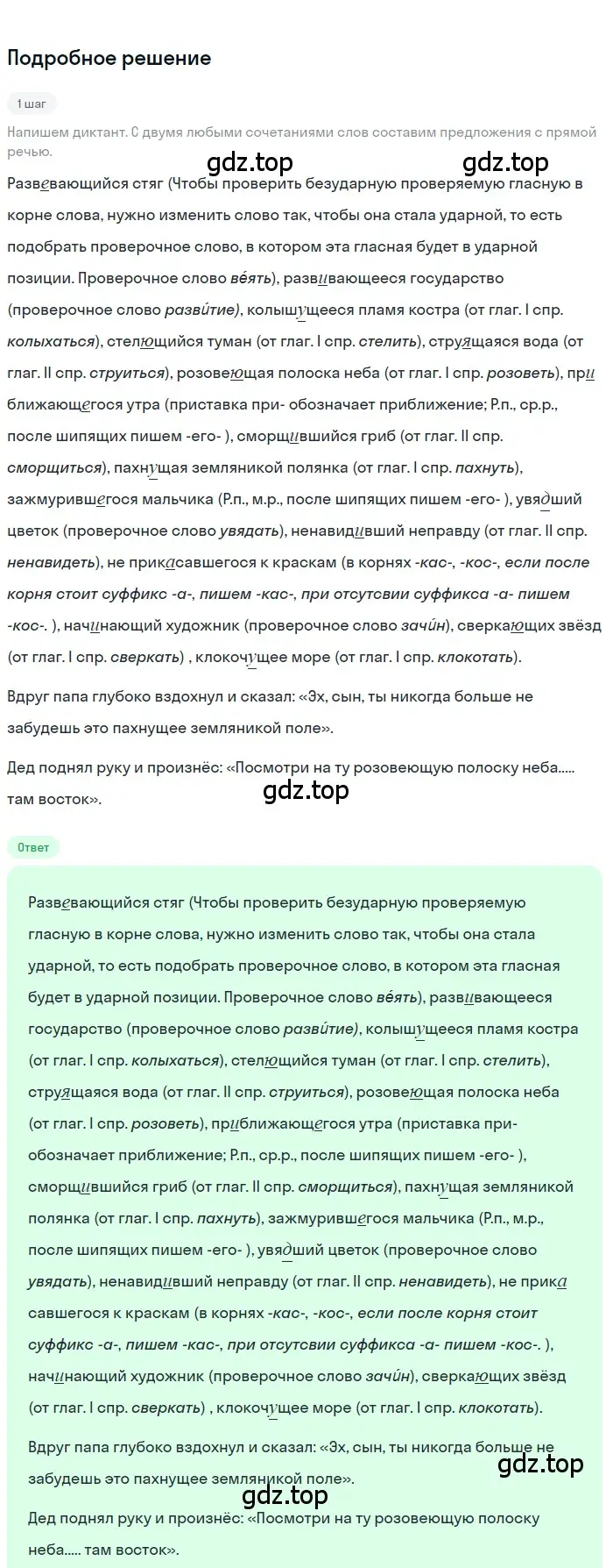 Решение 3. номер 206 (страница 118) гдз по русскому языку 7 класс Ладыженская, Баранов, учебник 1 часть