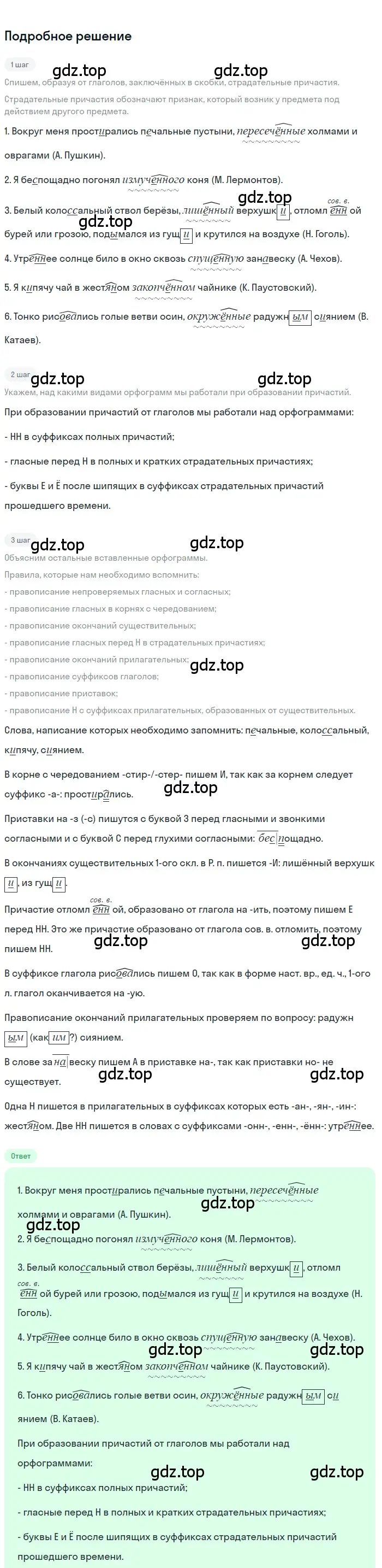 Решение 3. номер 246 (страница 145) гдз по русскому языку 7 класс Ладыженская, Баранов, учебник 1 часть