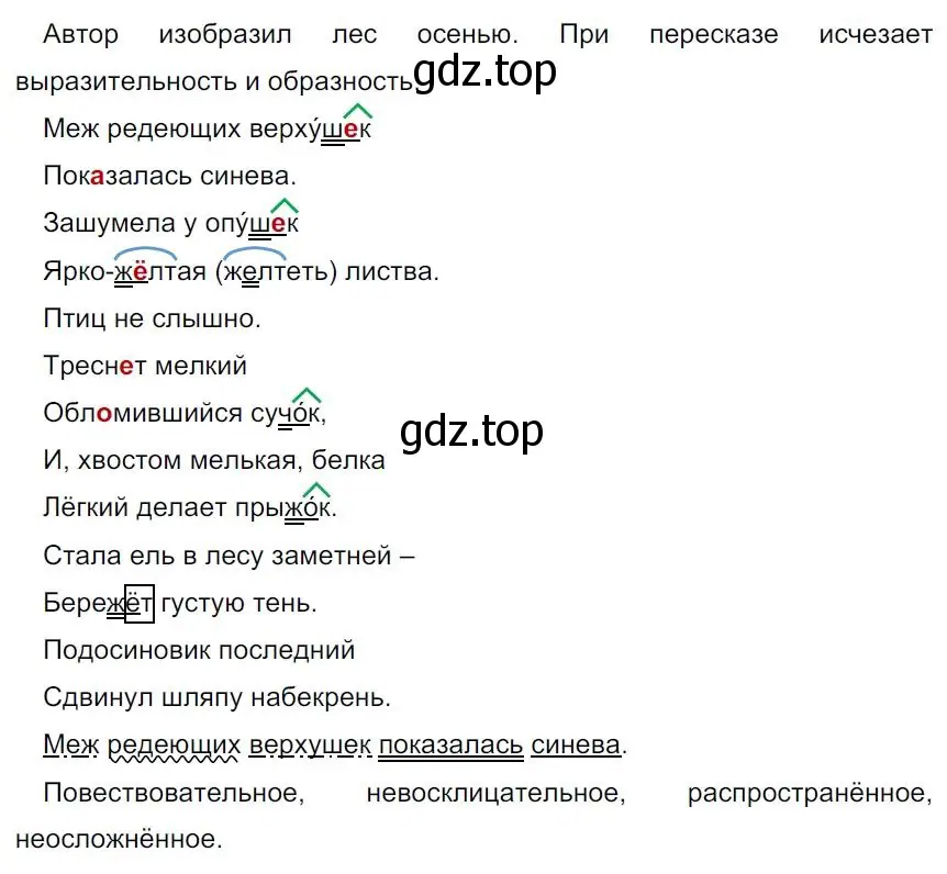 Решение 4. номер 13 (страница 10) гдз по русскому языку 7 класс Ладыженская, Баранов, учебник 1 часть