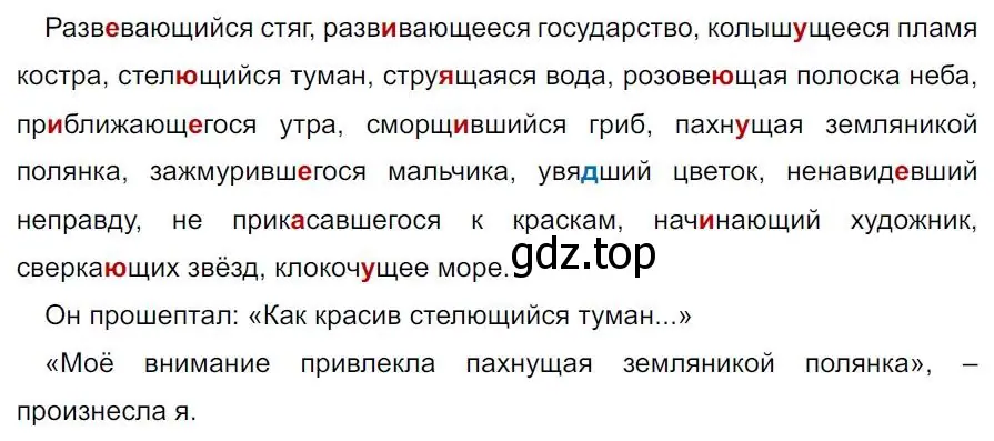 Решение 4. номер 206 (страница 118) гдз по русскому языку 7 класс Ладыженская, Баранов, учебник 1 часть