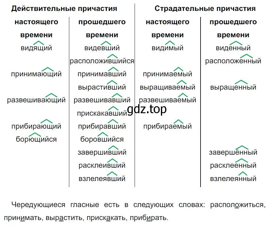 Решение 4. номер 255 (страница 148) гдз по русскому языку 7 класс Ладыженская, Баранов, учебник 1 часть