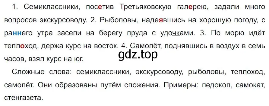 Решение 4. номер 290 (страница 169) гдз по русскому языку 7 класс Ладыженская, Баранов, учебник 1 часть