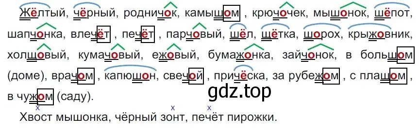 Решение 4. номер 31 (страница 20) гдз по русскому языку 7 класс Ладыженская, Баранов, учебник 1 часть