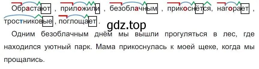 Решение 4. номер 34 (страница 22) гдз по русскому языку 7 класс Ладыженская, Баранов, учебник 1 часть