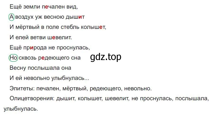 Решение 4. номер 446 (страница 45) гдз по русскому языку 7 класс Ладыженская, Баранов, учебник 2 часть