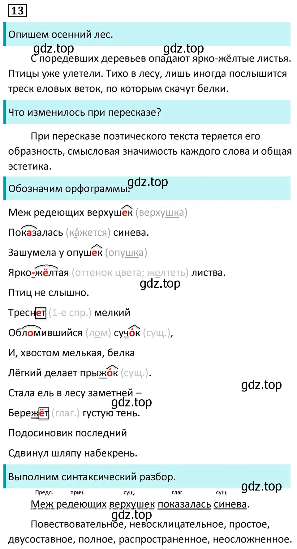 Решение 5. номер 13 (страница 10) гдз по русскому языку 7 класс Ладыженская, Баранов, учебник 1 часть