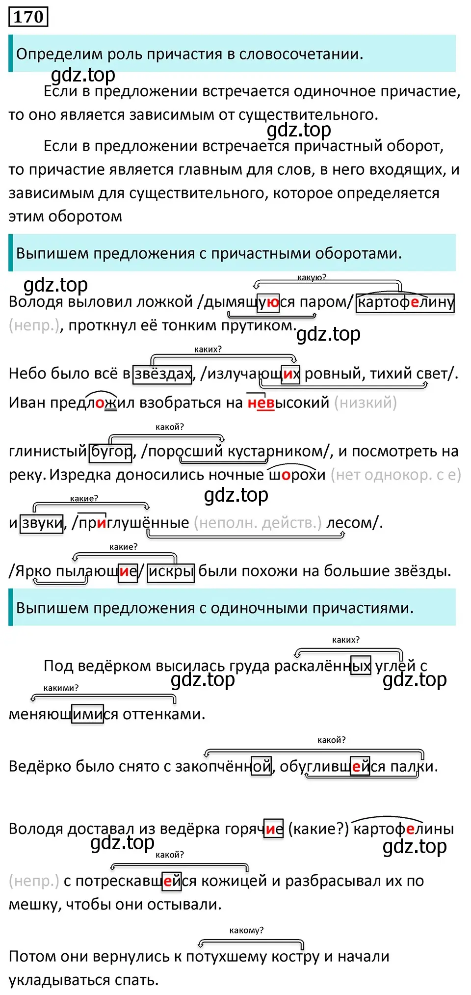 Решение 5. номер 170 (страница 96) гдз по русскому языку 7 класс Ладыженская, Баранов, учебник 1 часть