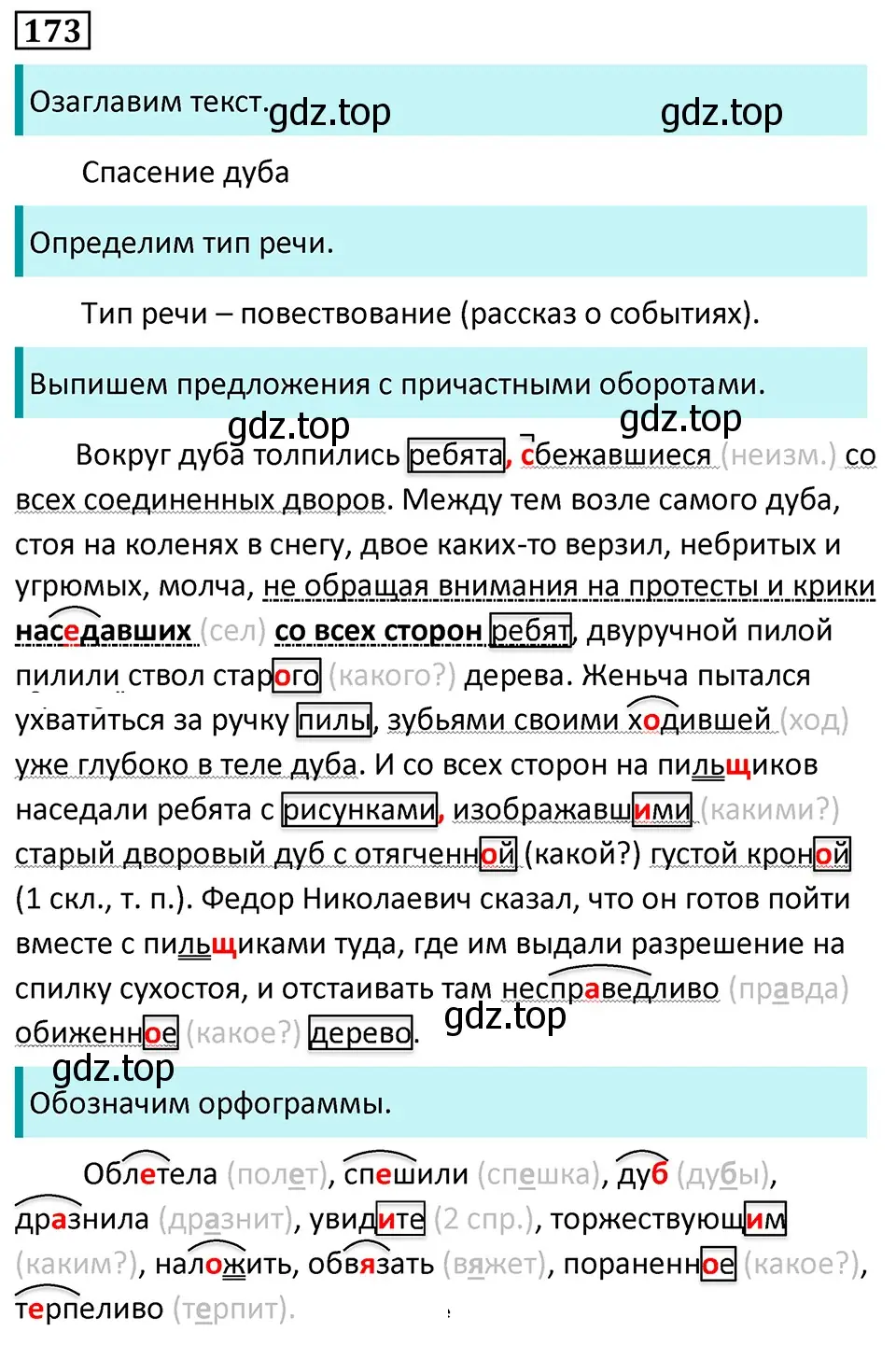 Решение 5. номер 173 (страница 99) гдз по русскому языку 7 класс Ладыженская, Баранов, учебник 1 часть