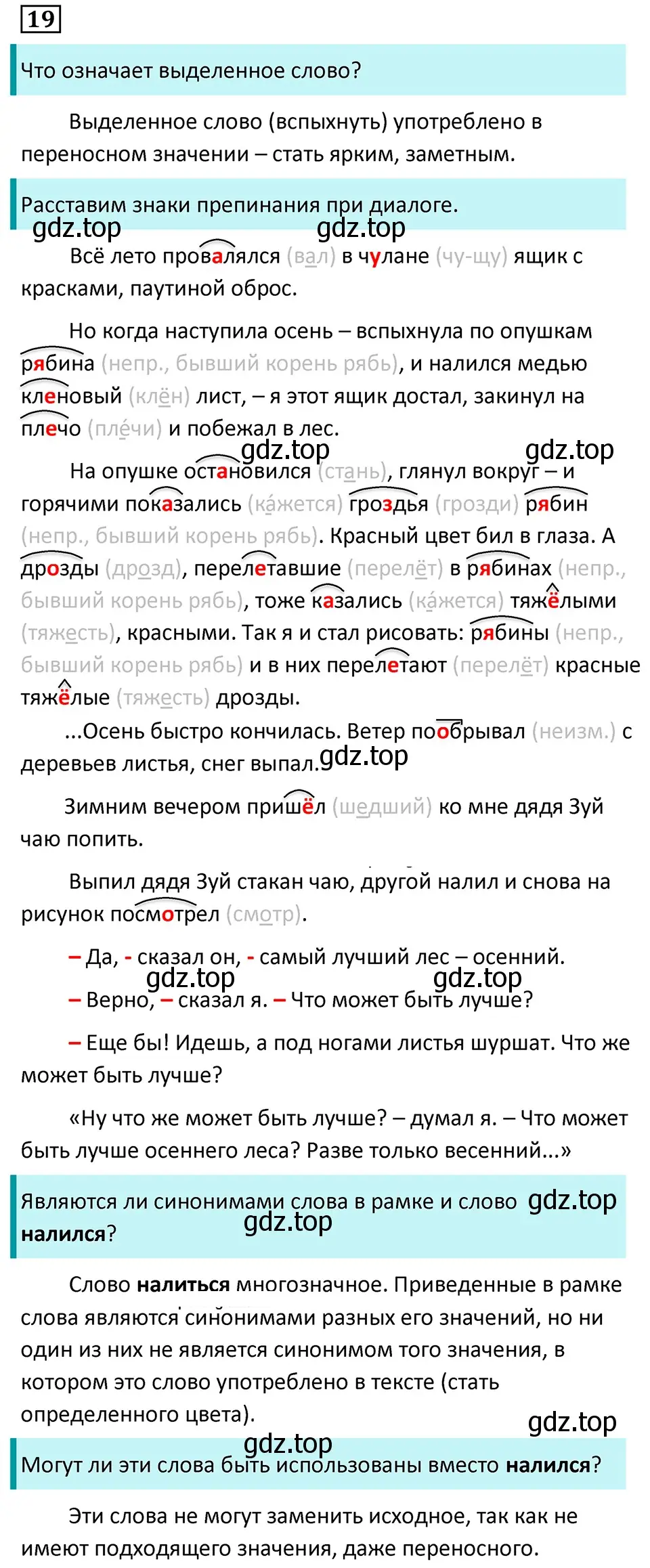 Решение 5. номер 19 (страница 13) гдз по русскому языку 7 класс Ладыженская, Баранов, учебник 1 часть