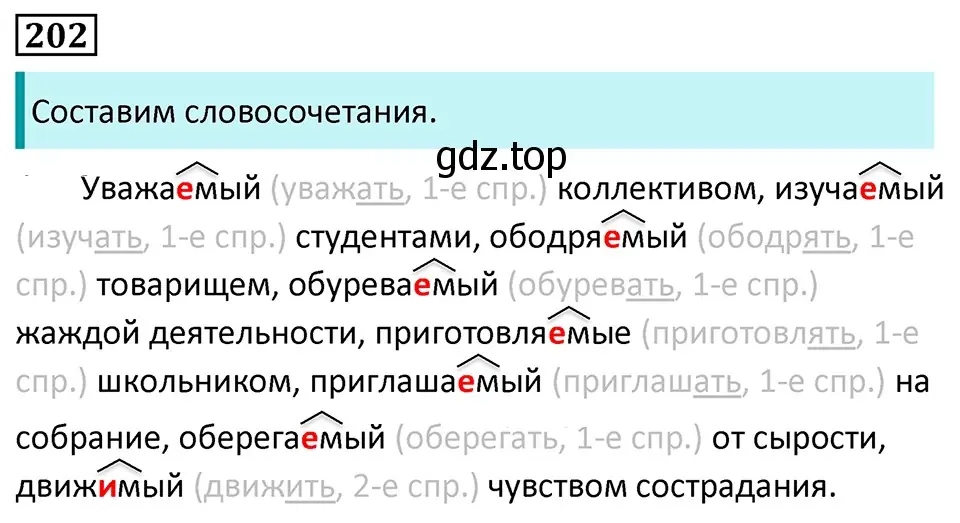 Решение 5. номер 202 (страница 117) гдз по русскому языку 7 класс Ладыженская, Баранов, учебник 1 часть