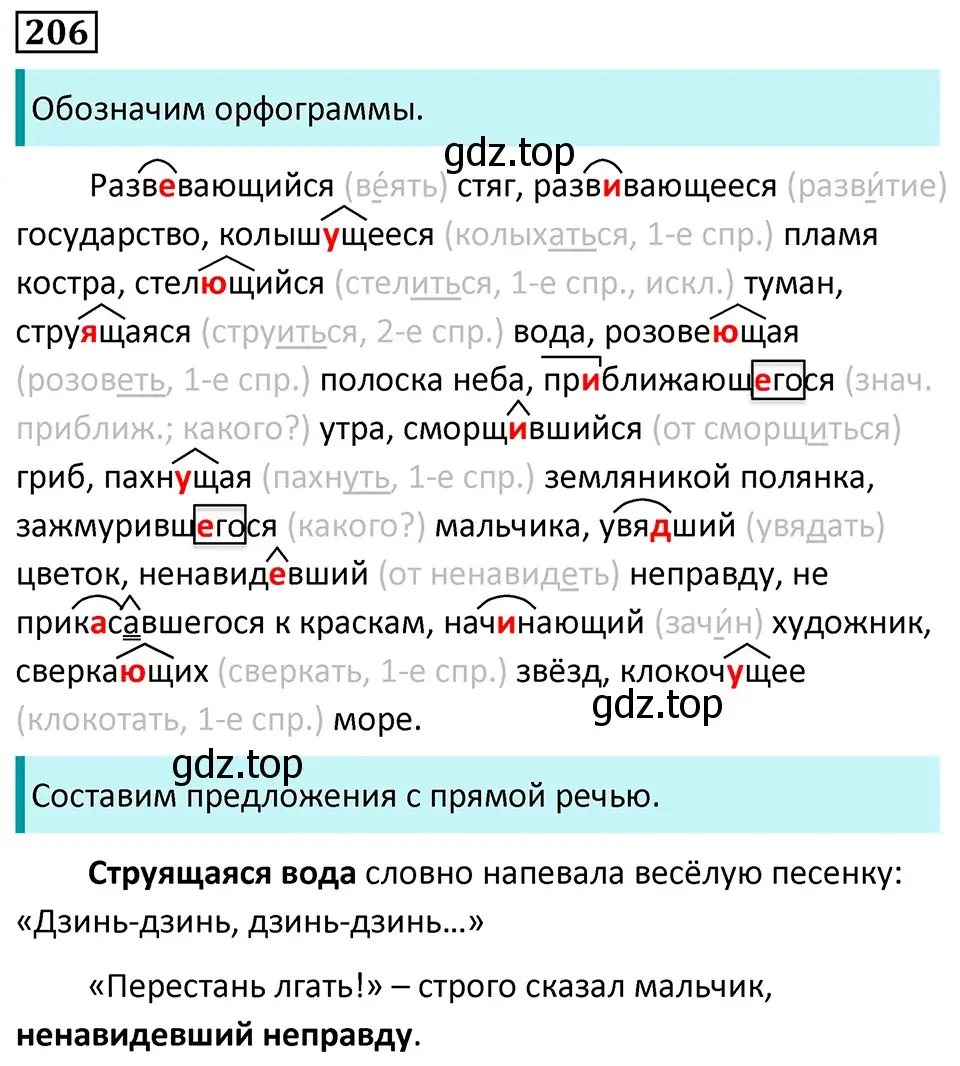 Решение 5. номер 206 (страница 118) гдз по русскому языку 7 класс Ладыженская, Баранов, учебник 1 часть