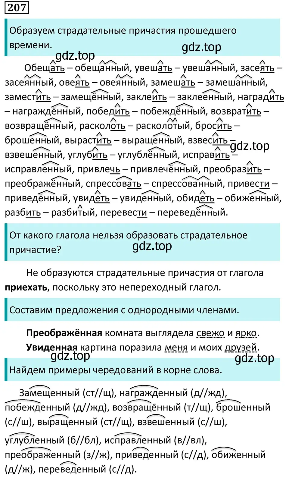 Решение 5. номер 207 (страница 120) гдз по русскому языку 7 класс Ладыженская, Баранов, учебник 1 часть