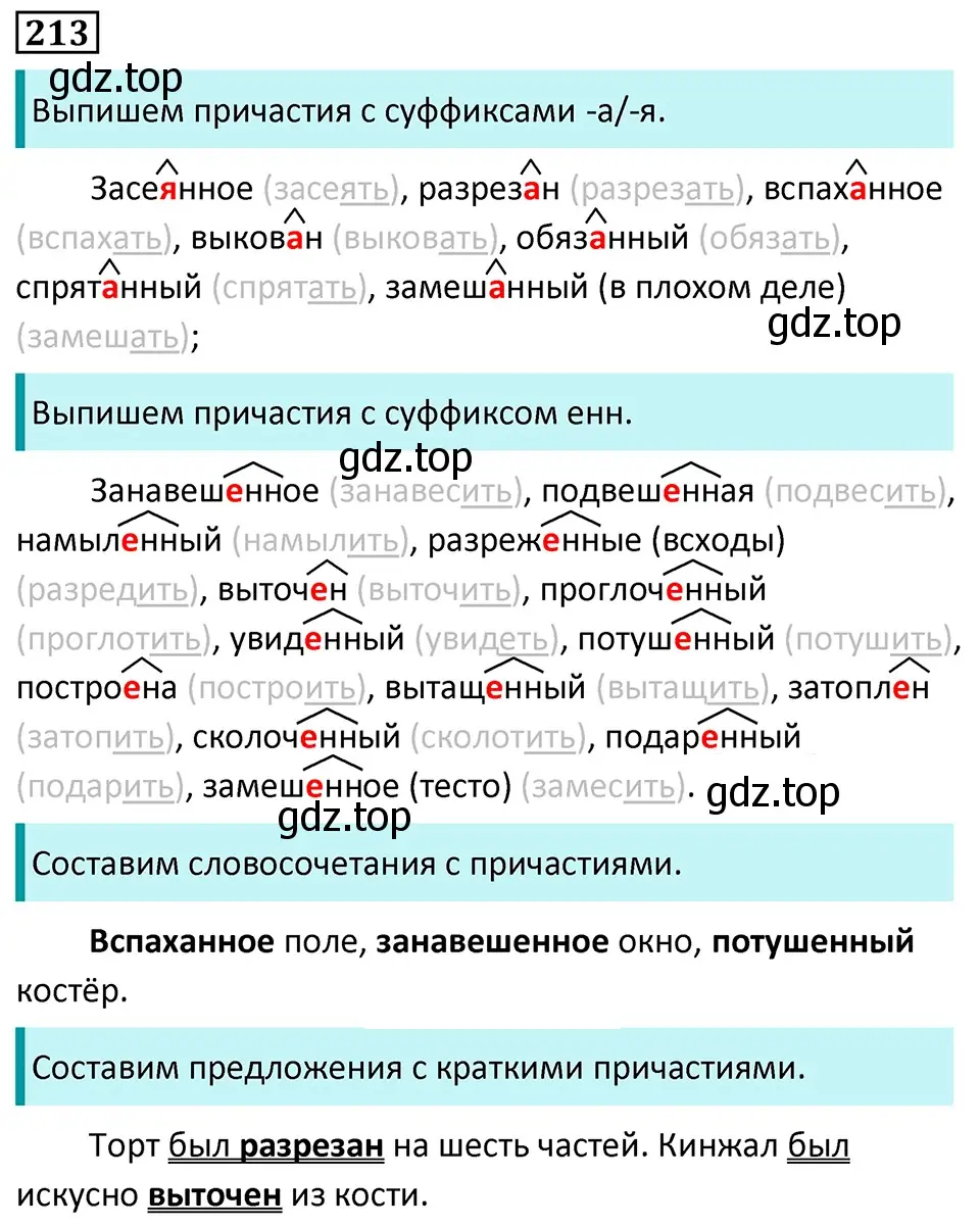 Решение 5. номер 213 (страница 123) гдз по русскому языку 7 класс Ладыженская, Баранов, учебник 1 часть