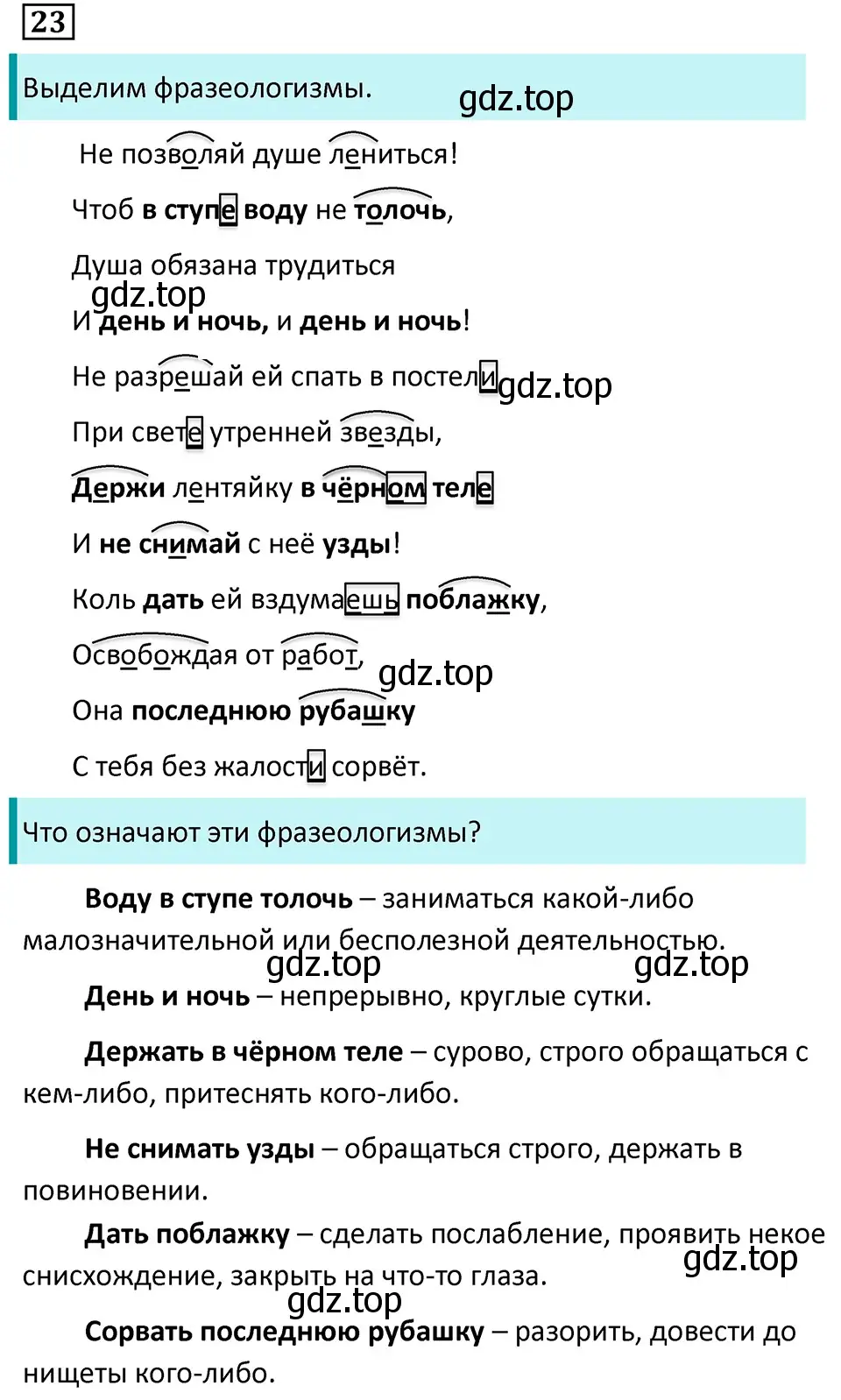 Решение 5. номер 23 (страница 14) гдз по русскому языку 7 класс Ладыженская, Баранов, учебник 1 часть