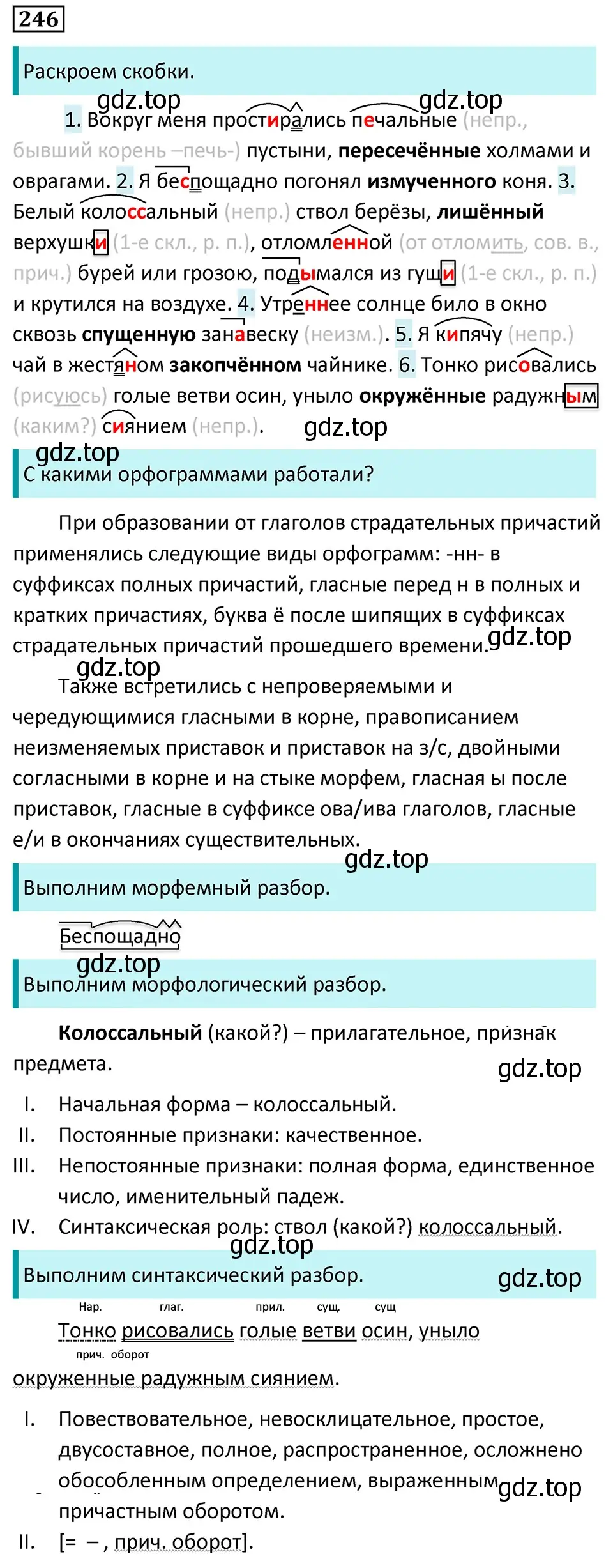 Решение 5. номер 246 (страница 145) гдз по русскому языку 7 класс Ладыженская, Баранов, учебник 1 часть