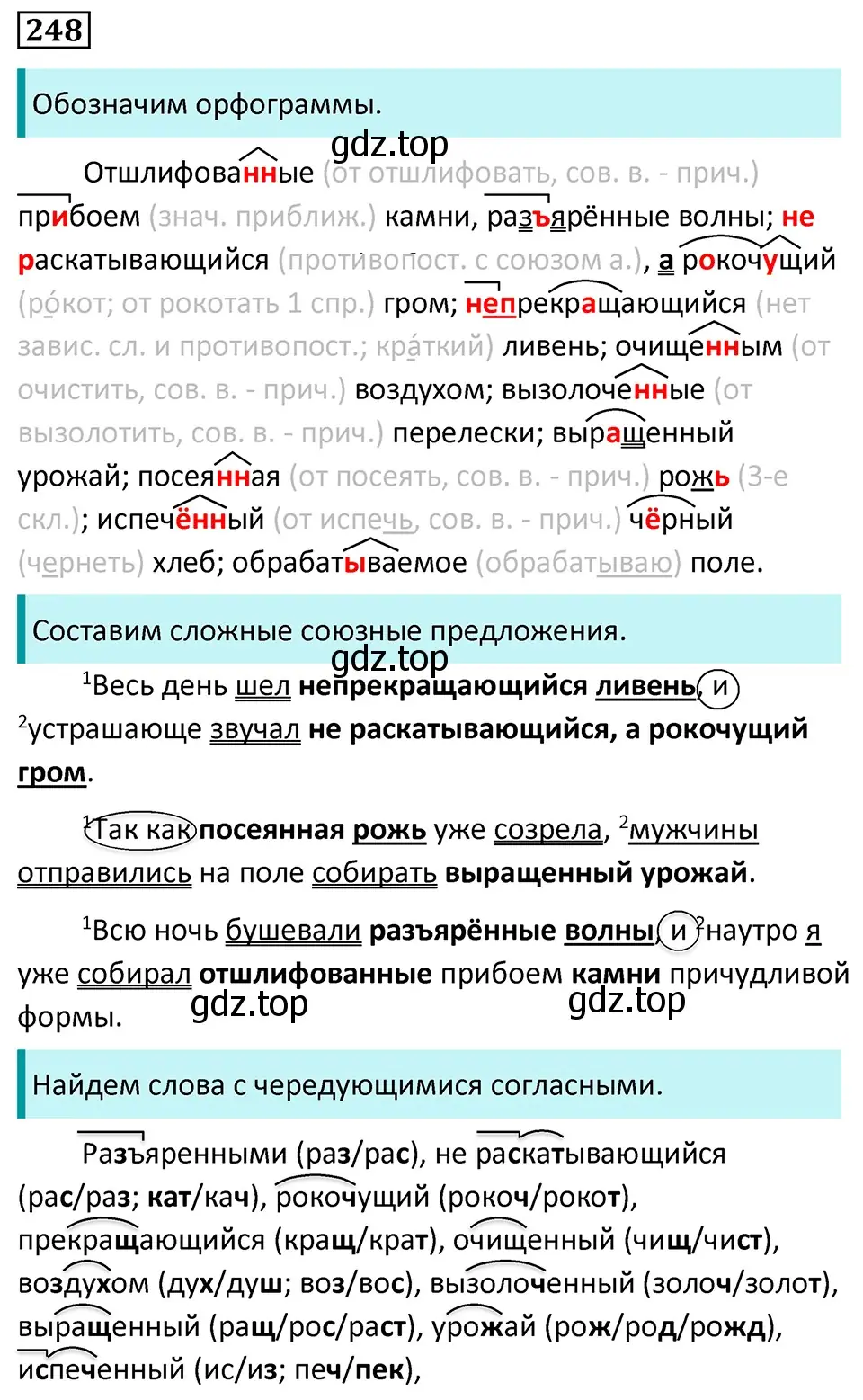 Решение 5. номер 248 (страница 146) гдз по русскому языку 7 класс Ладыженская, Баранов, учебник 1 часть