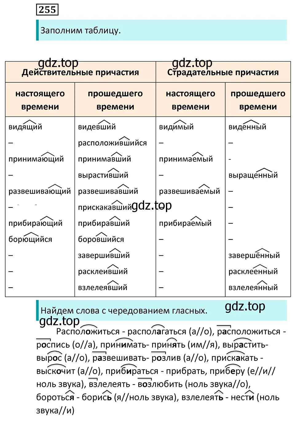 Решение 5. номер 255 (страница 148) гдз по русскому языку 7 класс Ладыженская, Баранов, учебник 1 часть