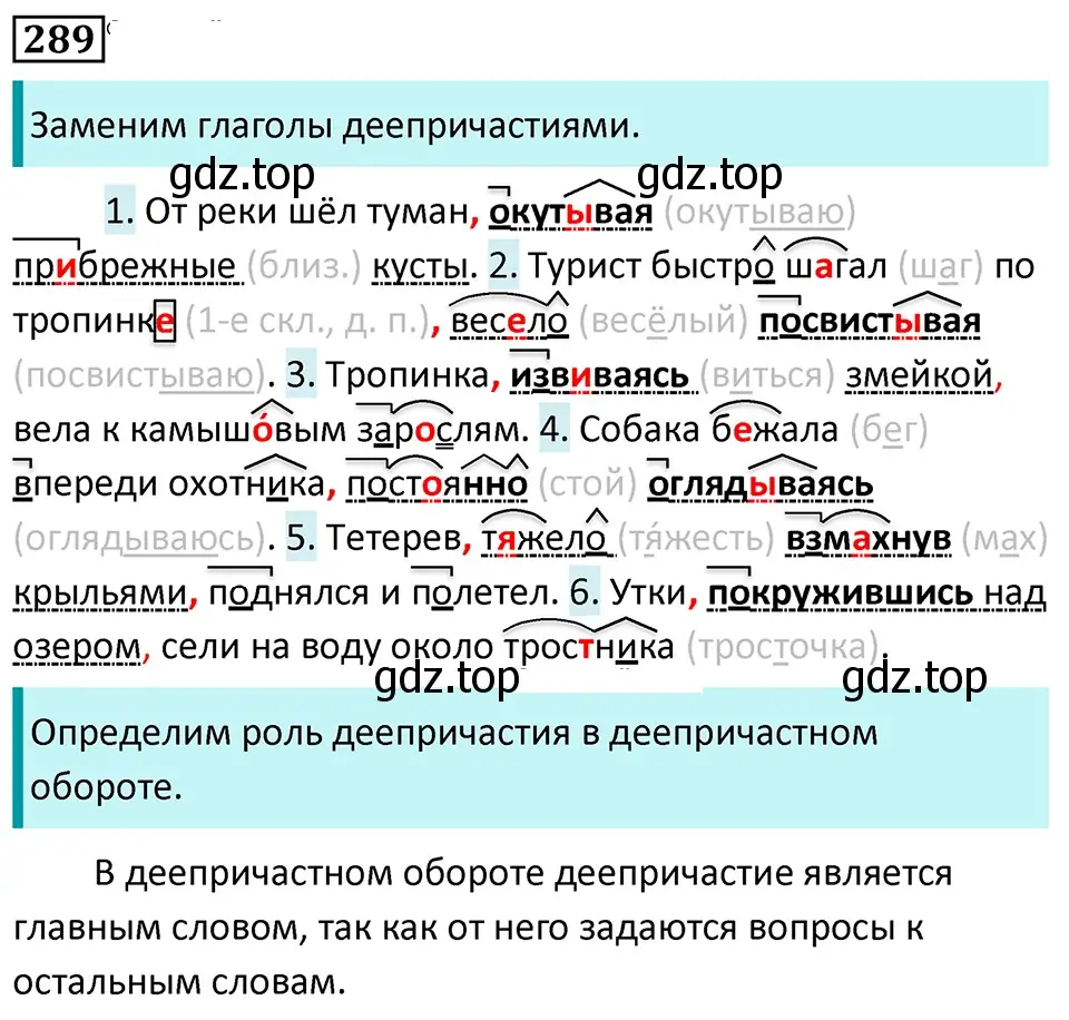 Решение 5. номер 289 (страница 168) гдз по русскому языку 7 класс Ладыженская, Баранов, учебник 1 часть