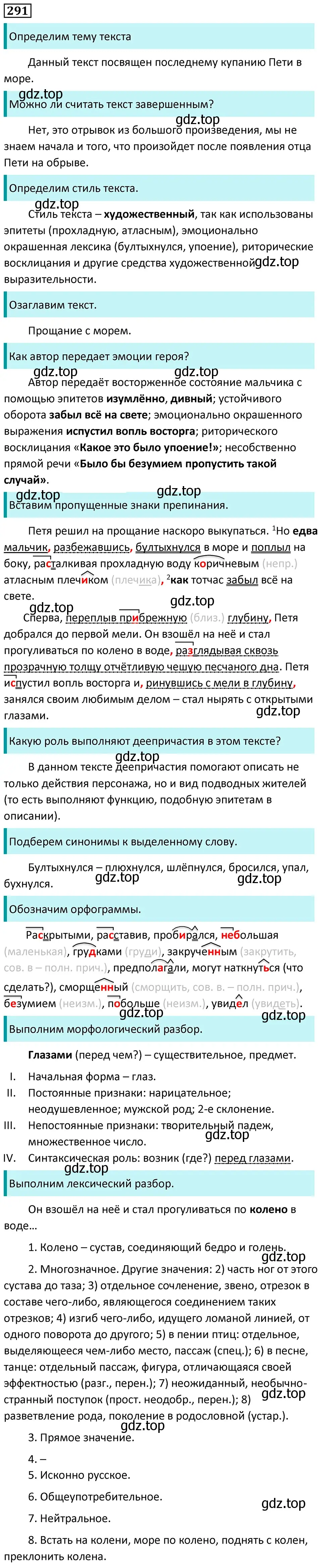 Решение 5. номер 291 (страница 169) гдз по русскому языку 7 класс Ладыженская, Баранов, учебник 1 часть