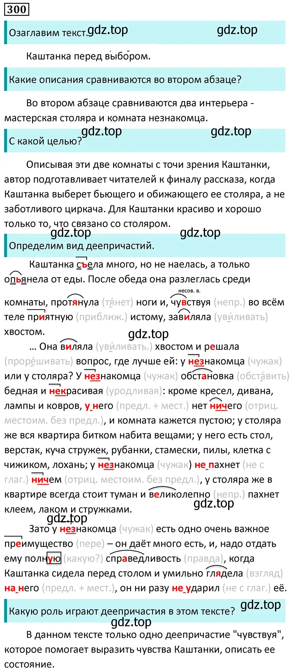 Решение 5. номер 300 (страница 175) гдз по русскому языку 7 класс Ладыженская, Баранов, учебник 1 часть