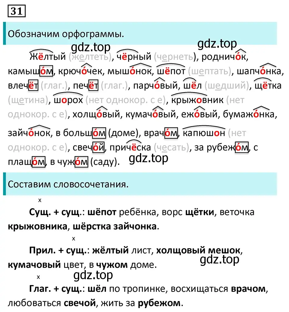 Решение 5. номер 31 (страница 20) гдз по русскому языку 7 класс Ладыженская, Баранов, учебник 1 часть